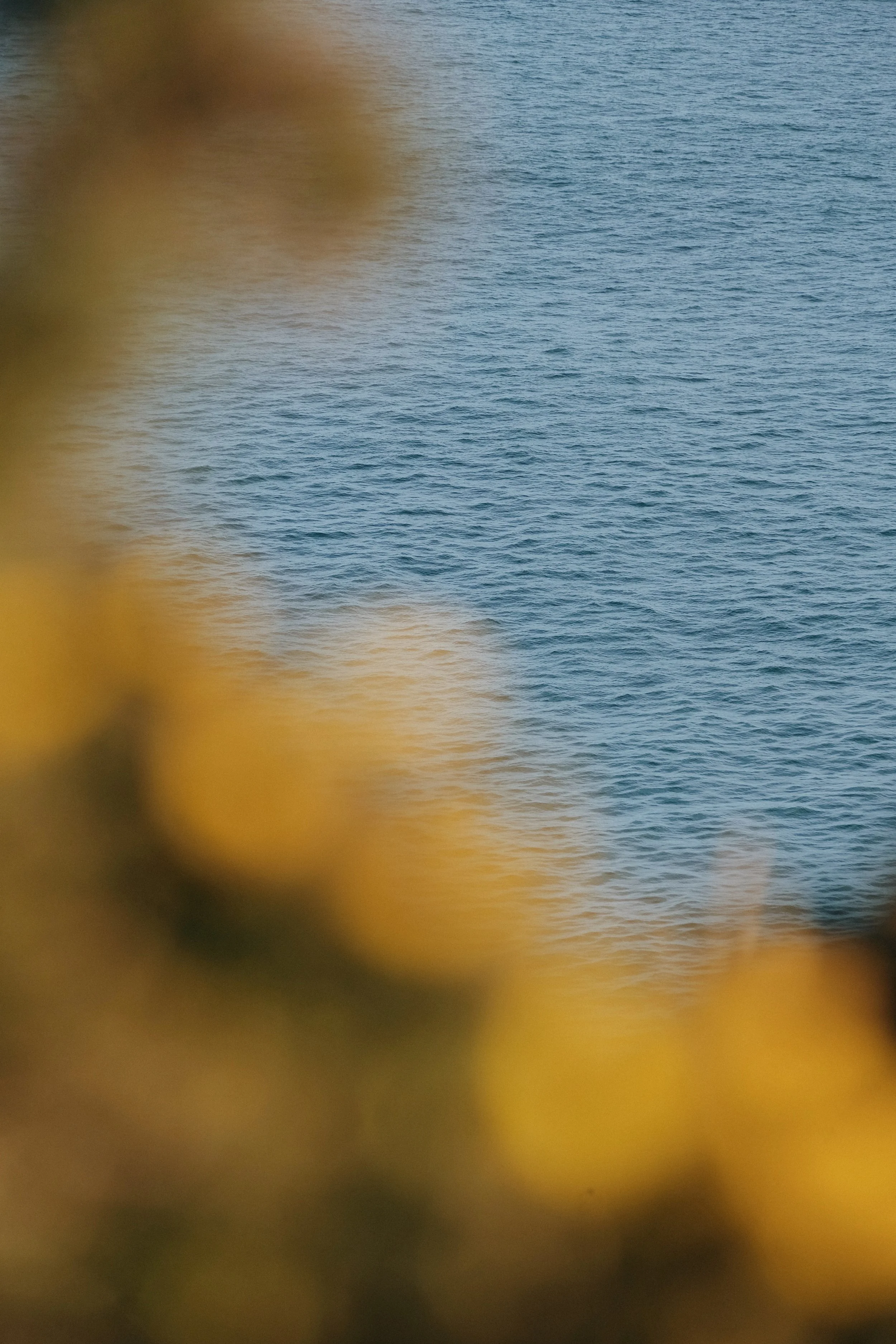 Prussia Cove Feb 25 - 11 of 14.jpeg