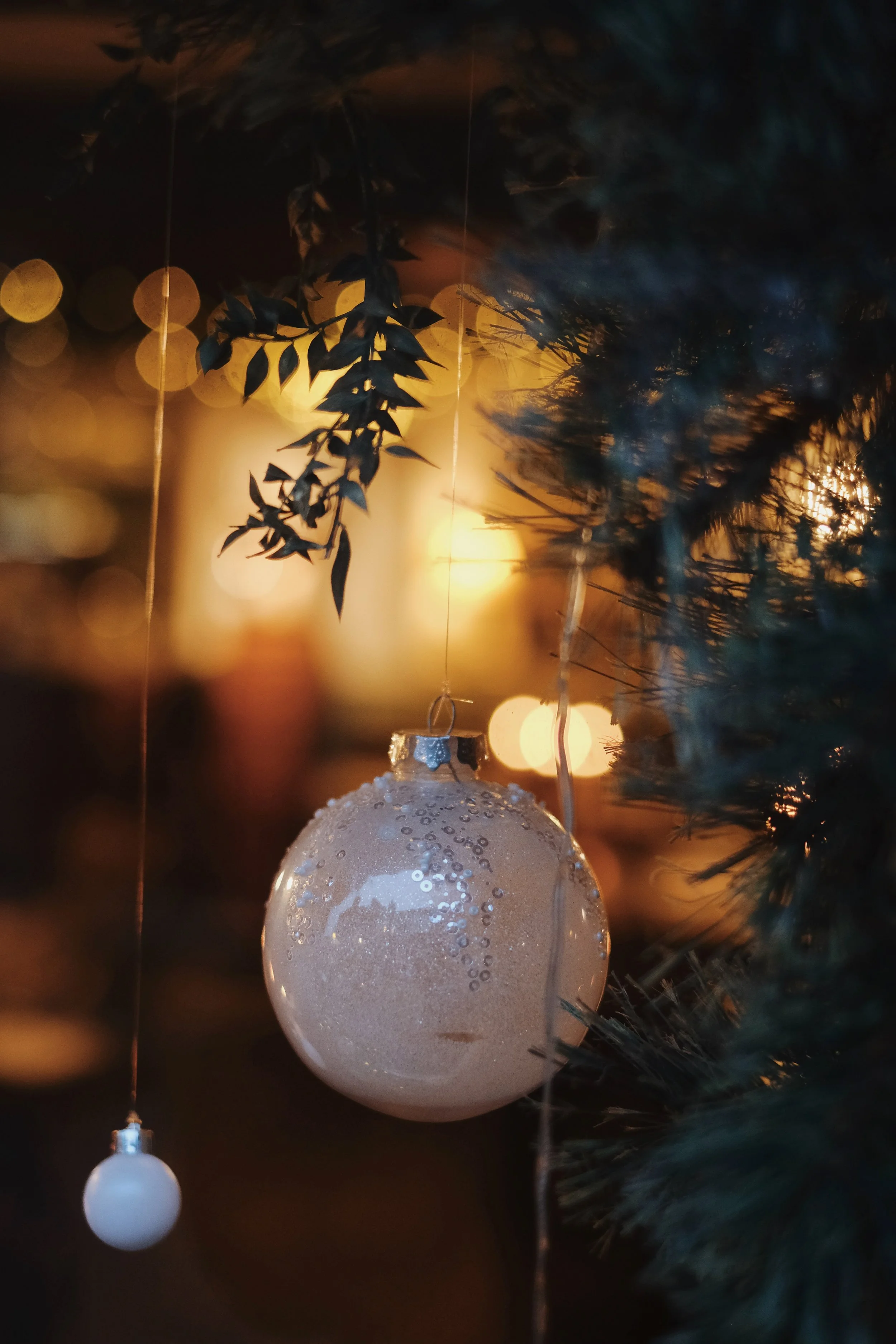 Emma _Lavelle_The_Hawthorn_December25_350.jpeg