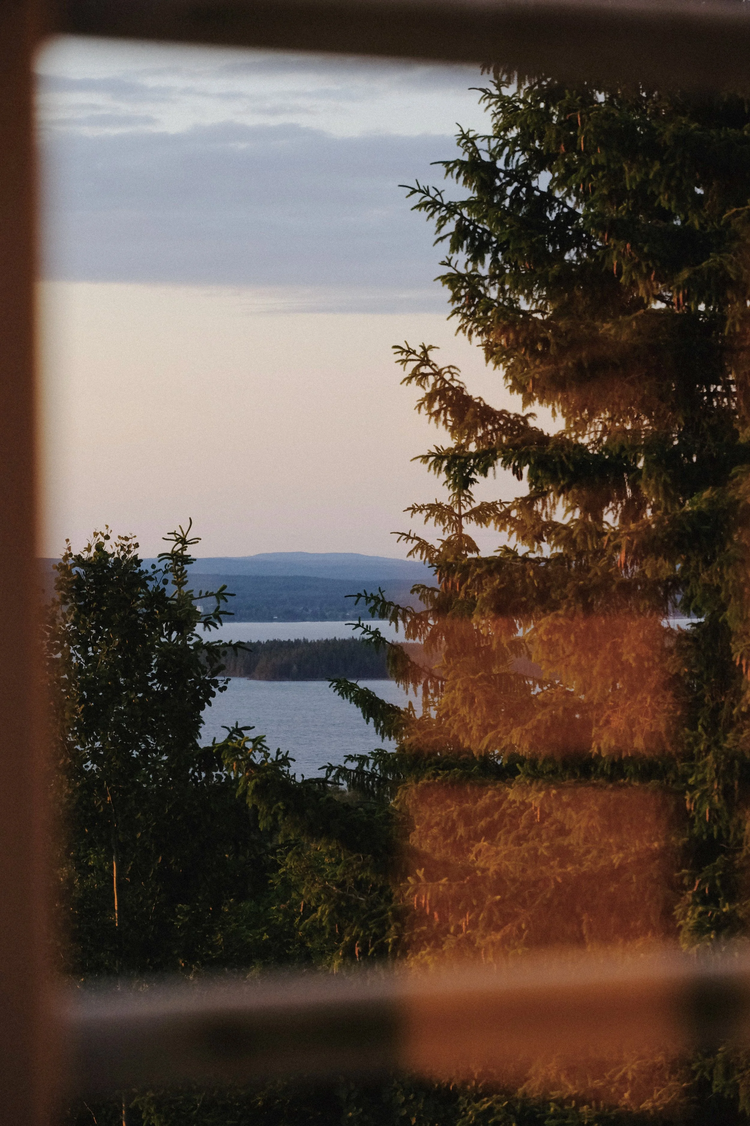 Emma _Lavelle_Sweden_1107.jpeg