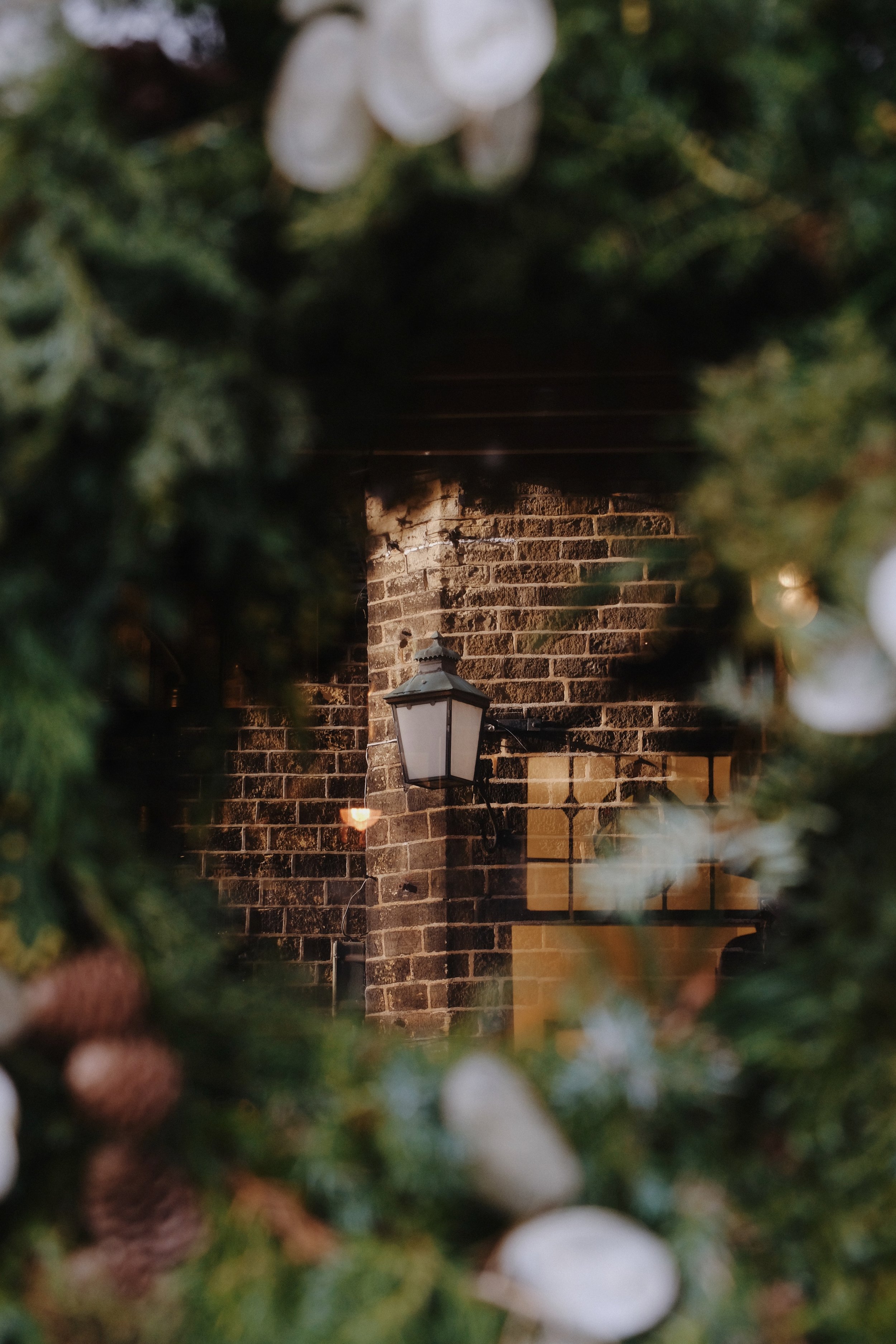 Emma _Lavelle_The_Hawthorn_December25_22.jpeg