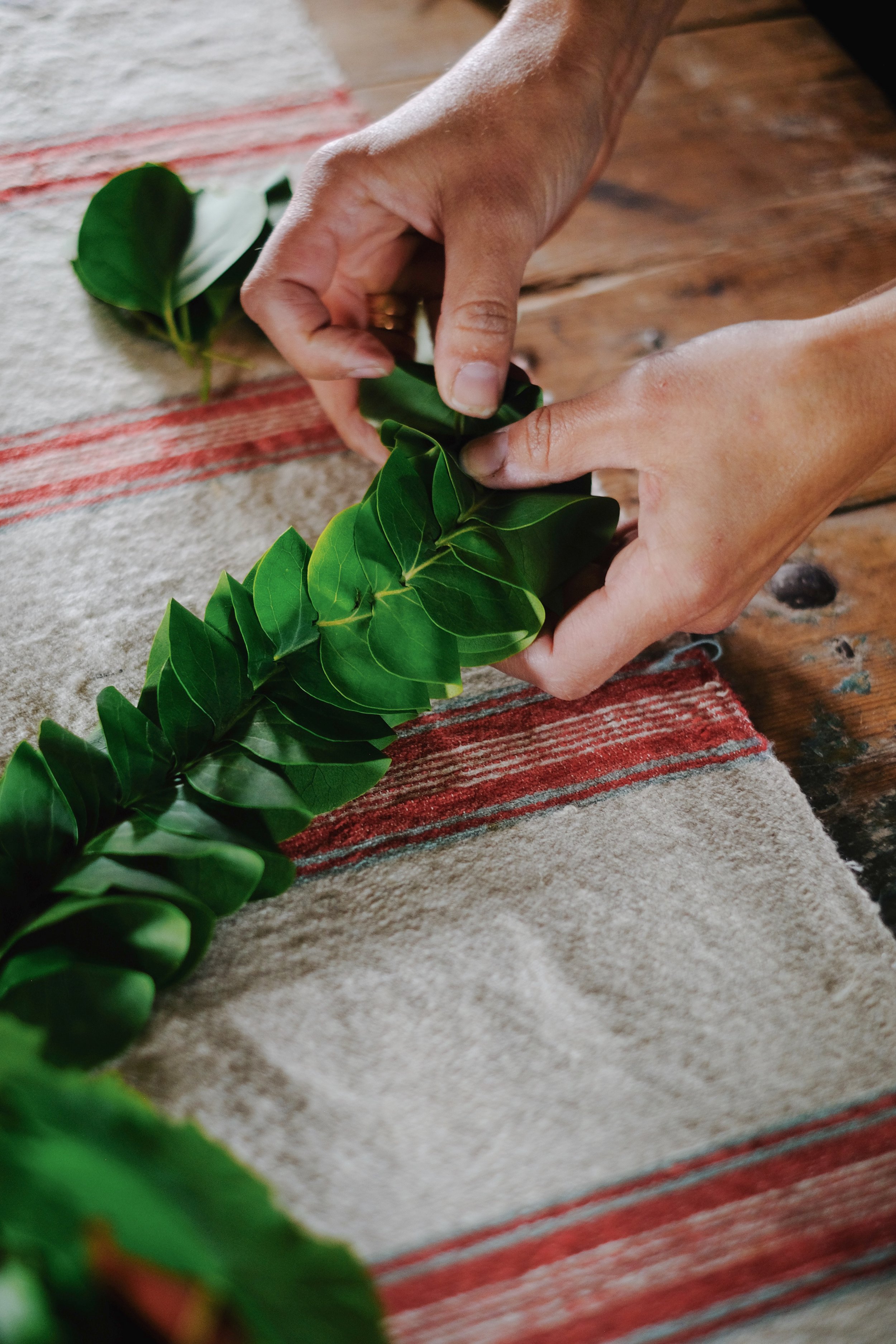 Emma _Lavelle_Sweden_684.jpeg