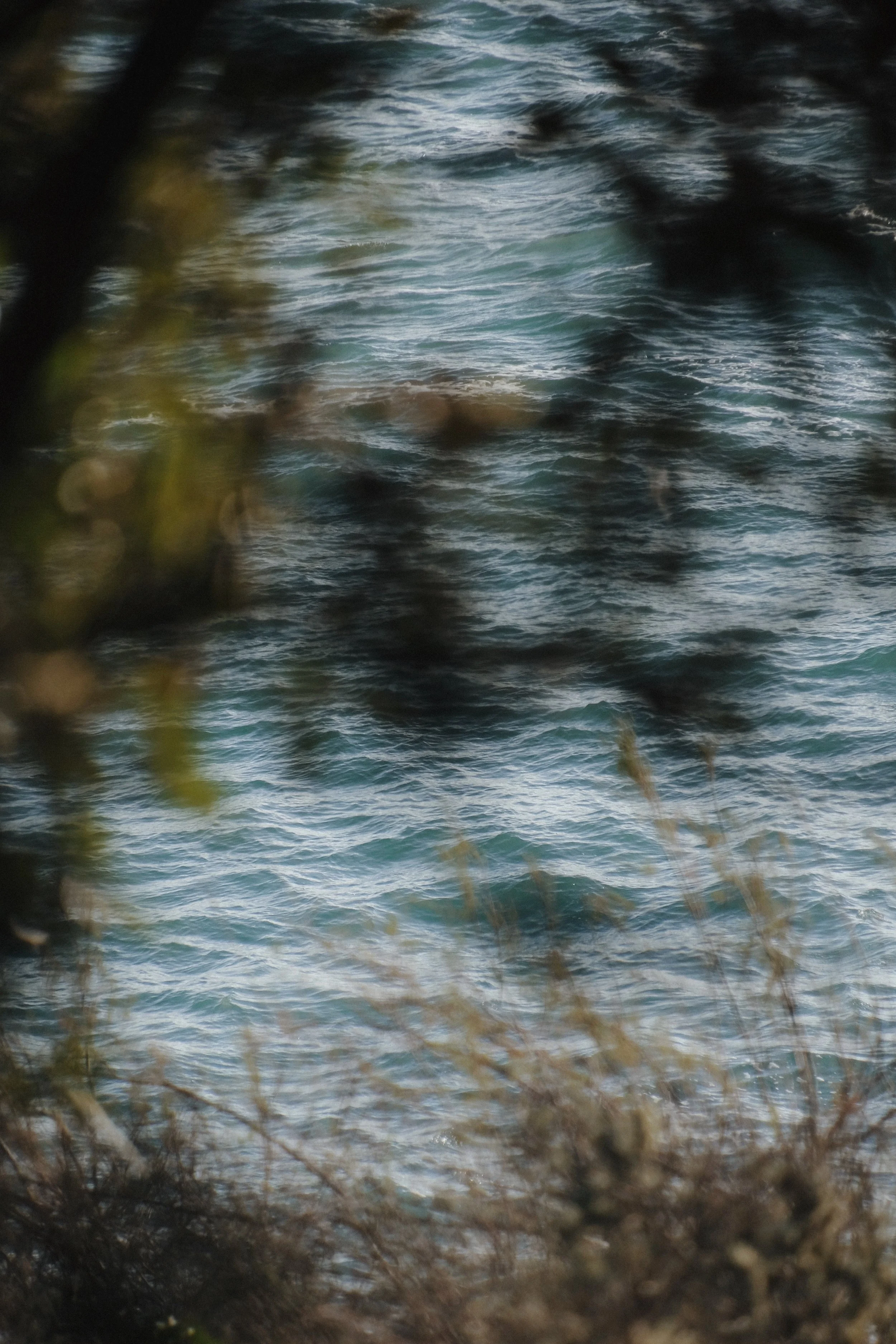 Prussia Cove Feb 25 - 12 of 15.jpeg