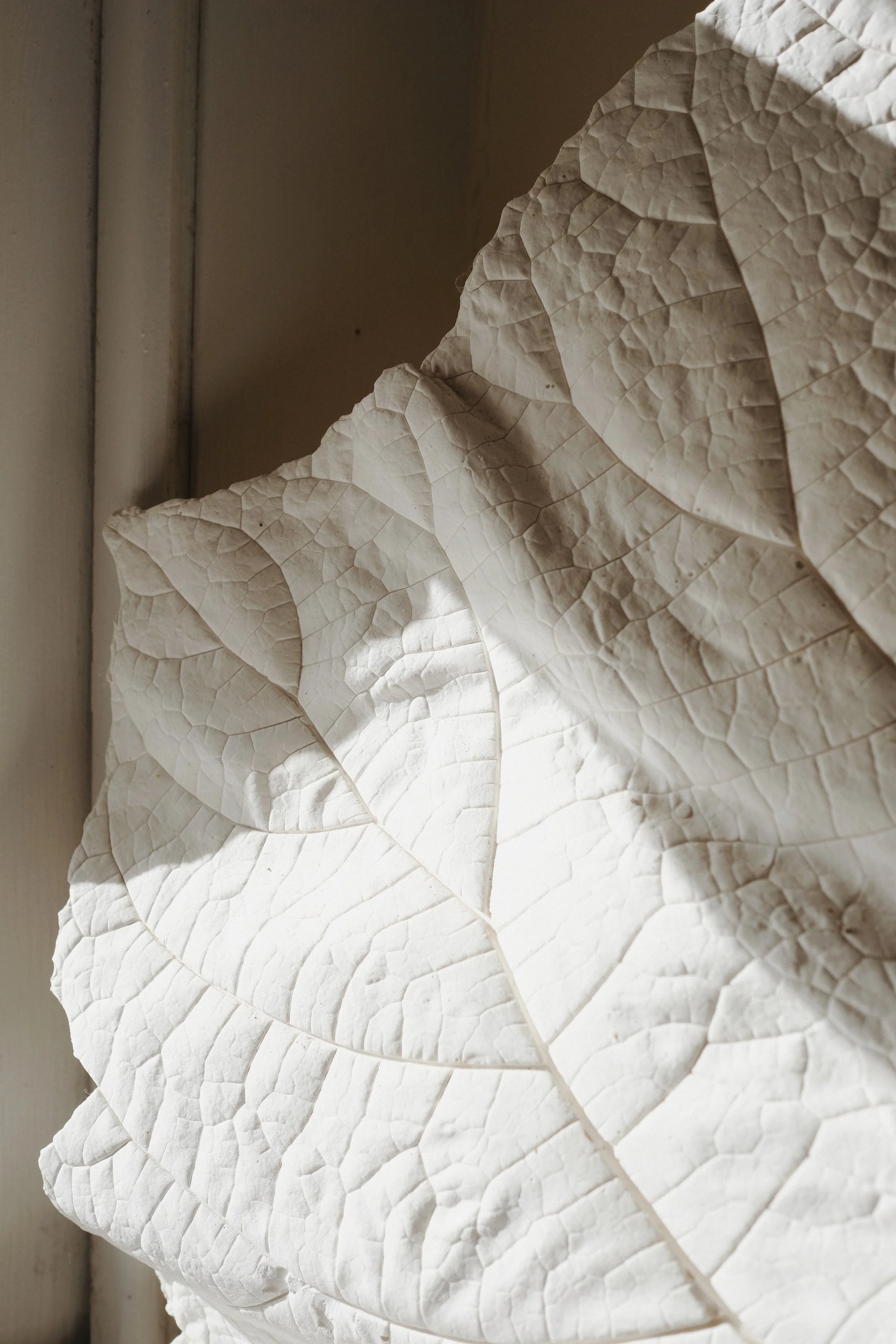 Prussia Cove Feb 25 - 7 of 14.jpeg