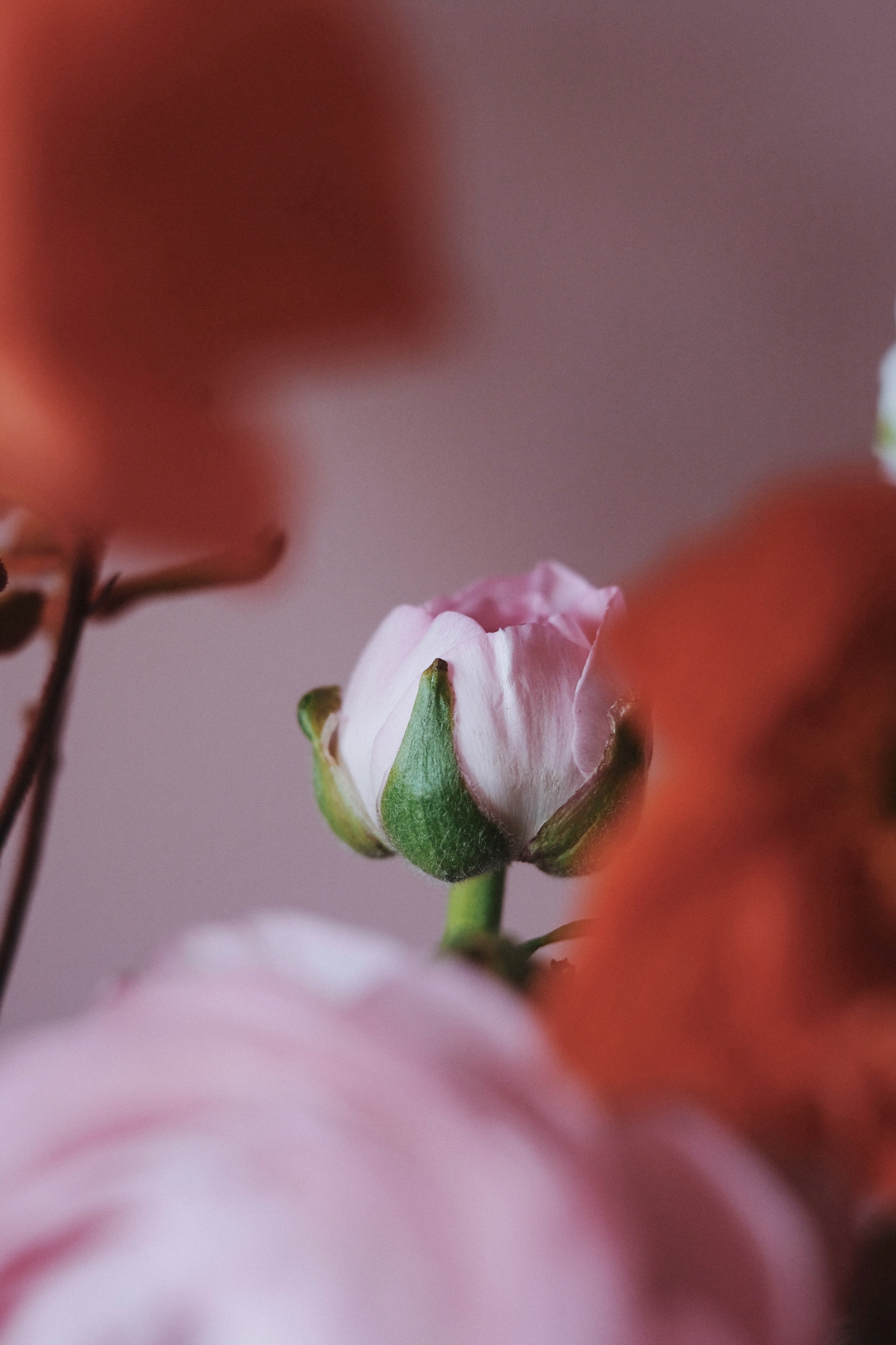 Library - 1 of 2.jpeg