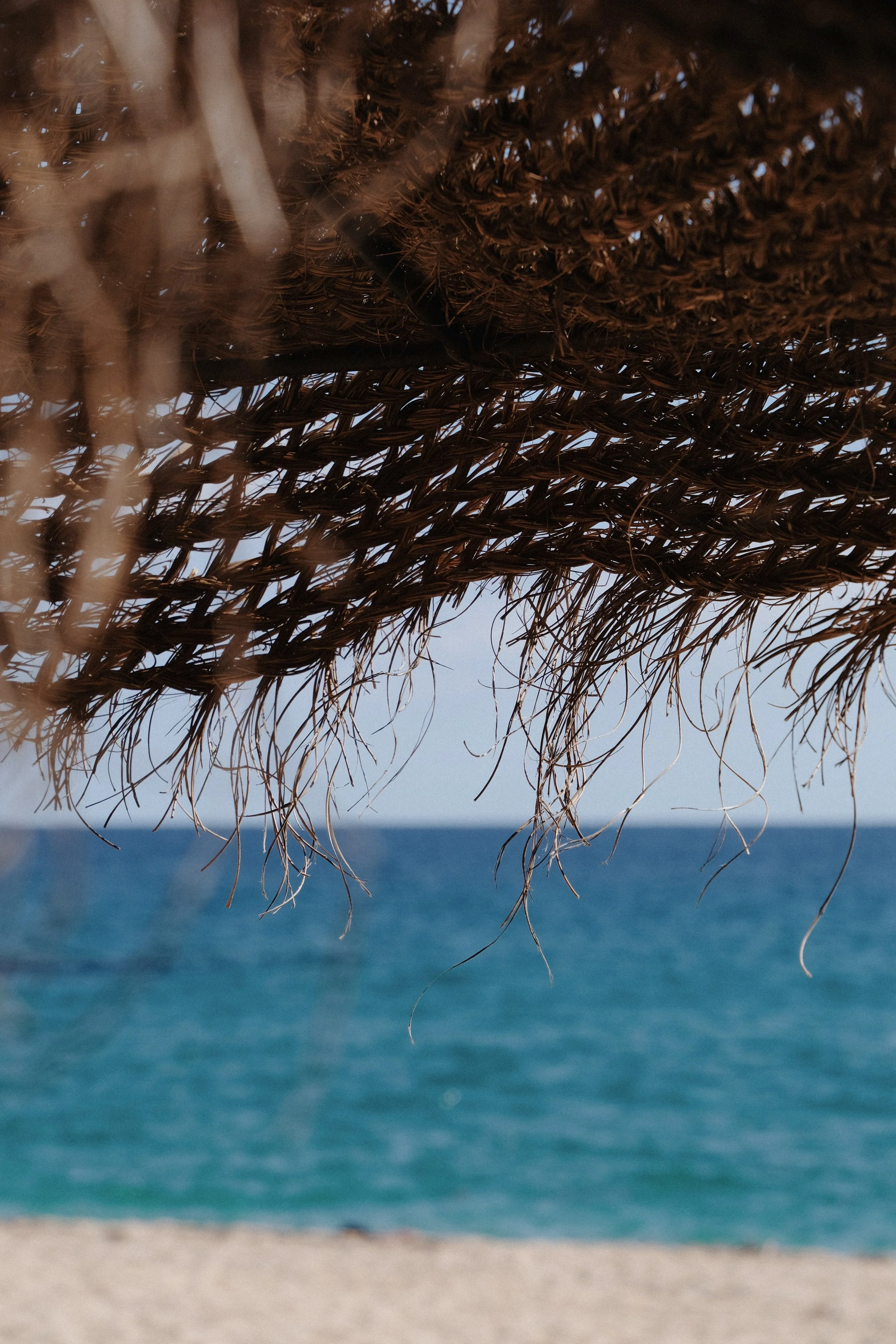 Photo 05-10-2024, 13 19 18.jpg