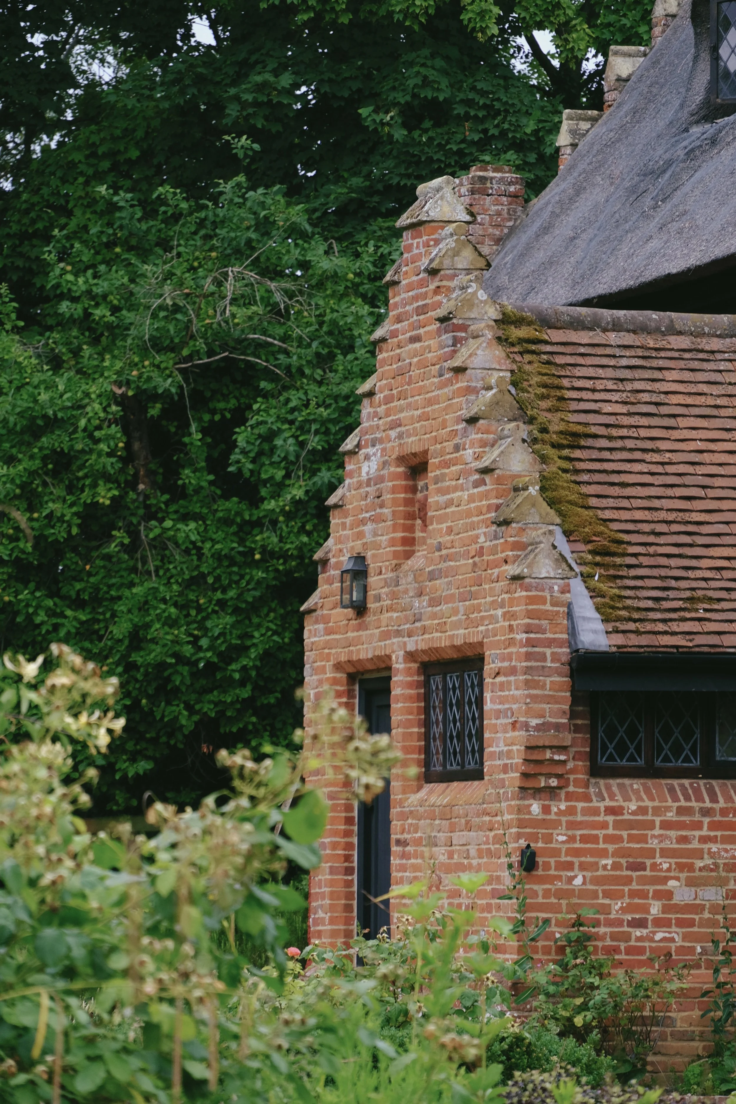 Restaries - 93 of 374.jpeg