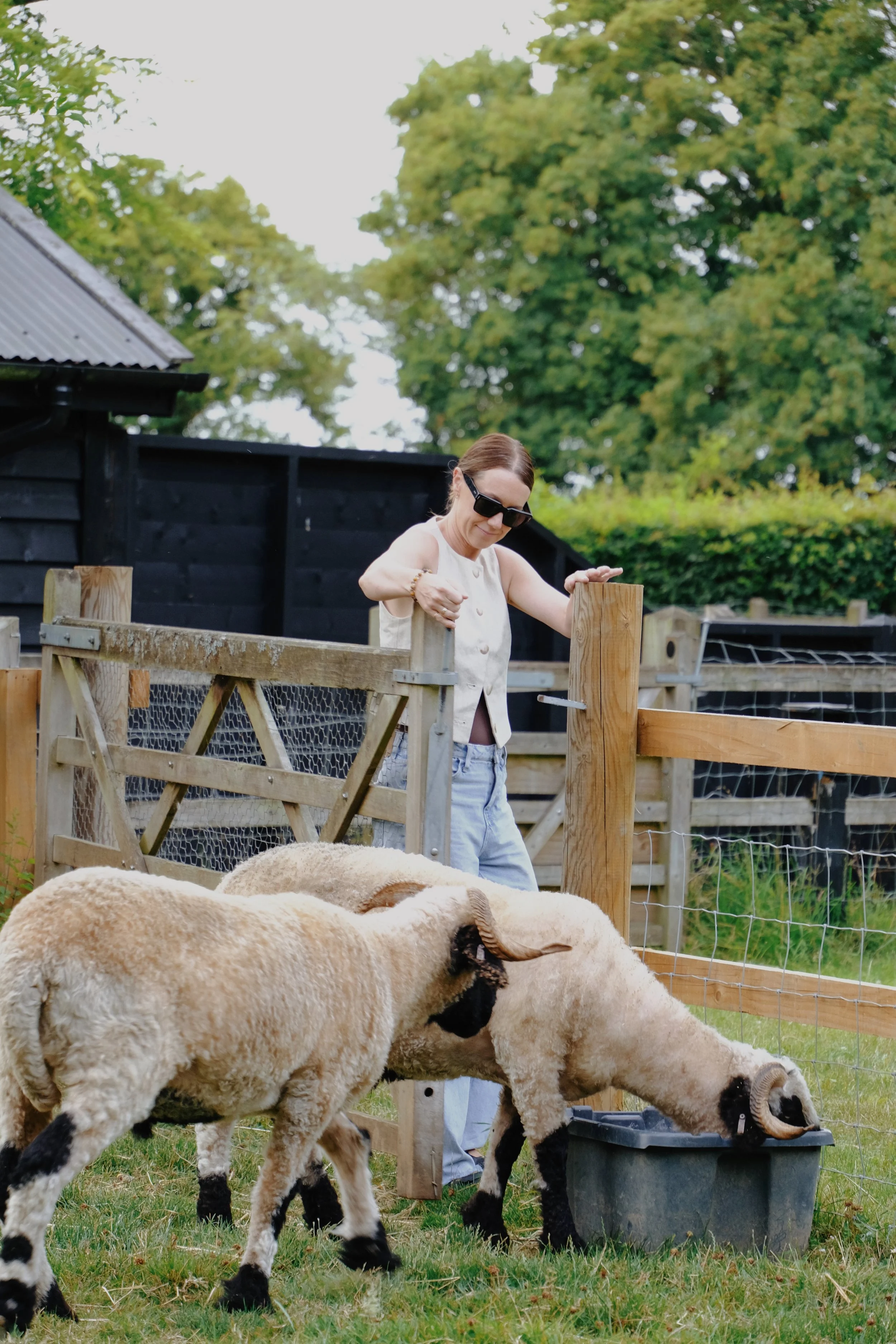 Restaries - 327 of 374.jpeg