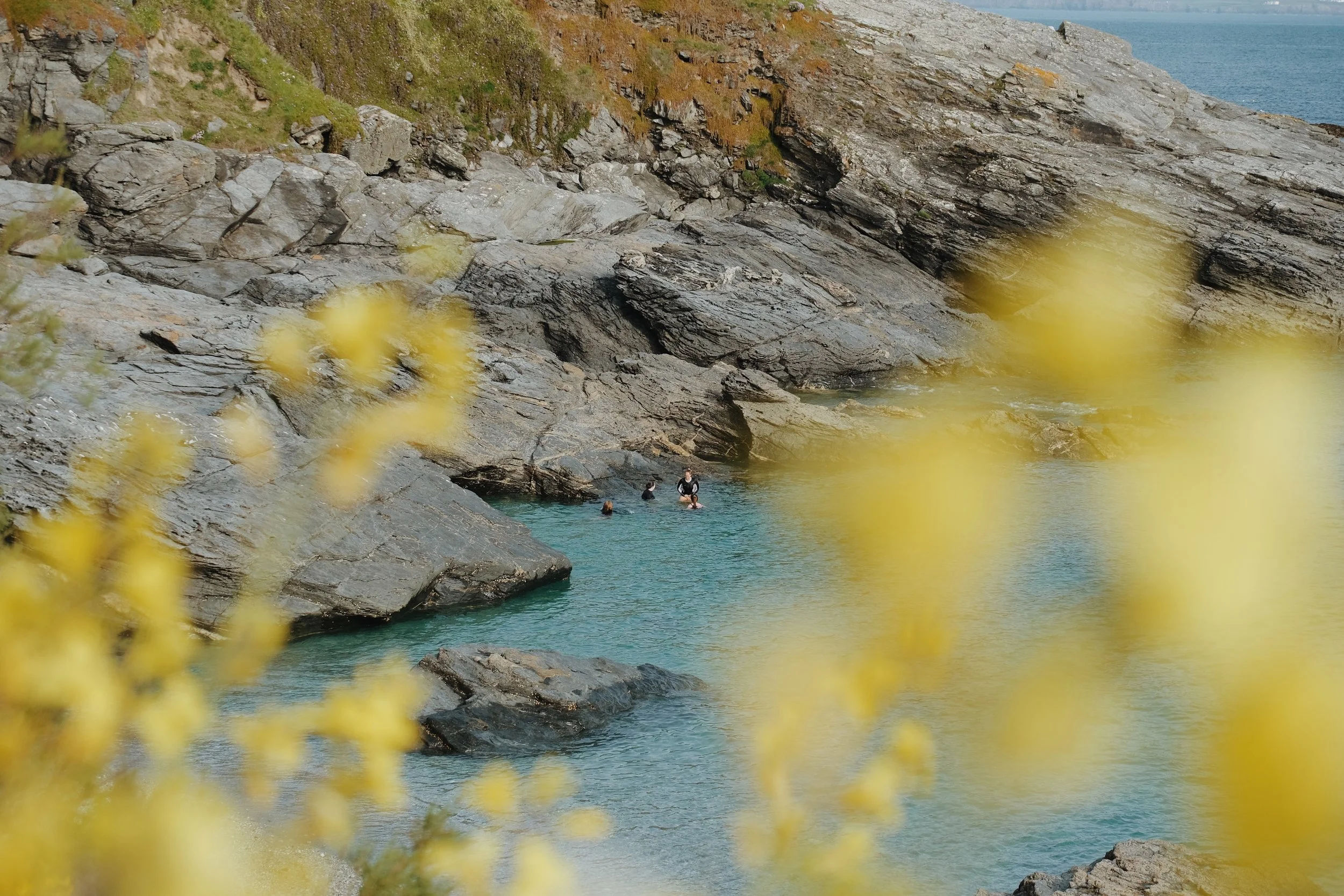 Prussia Cove May 25 - 5 of 13.jpeg