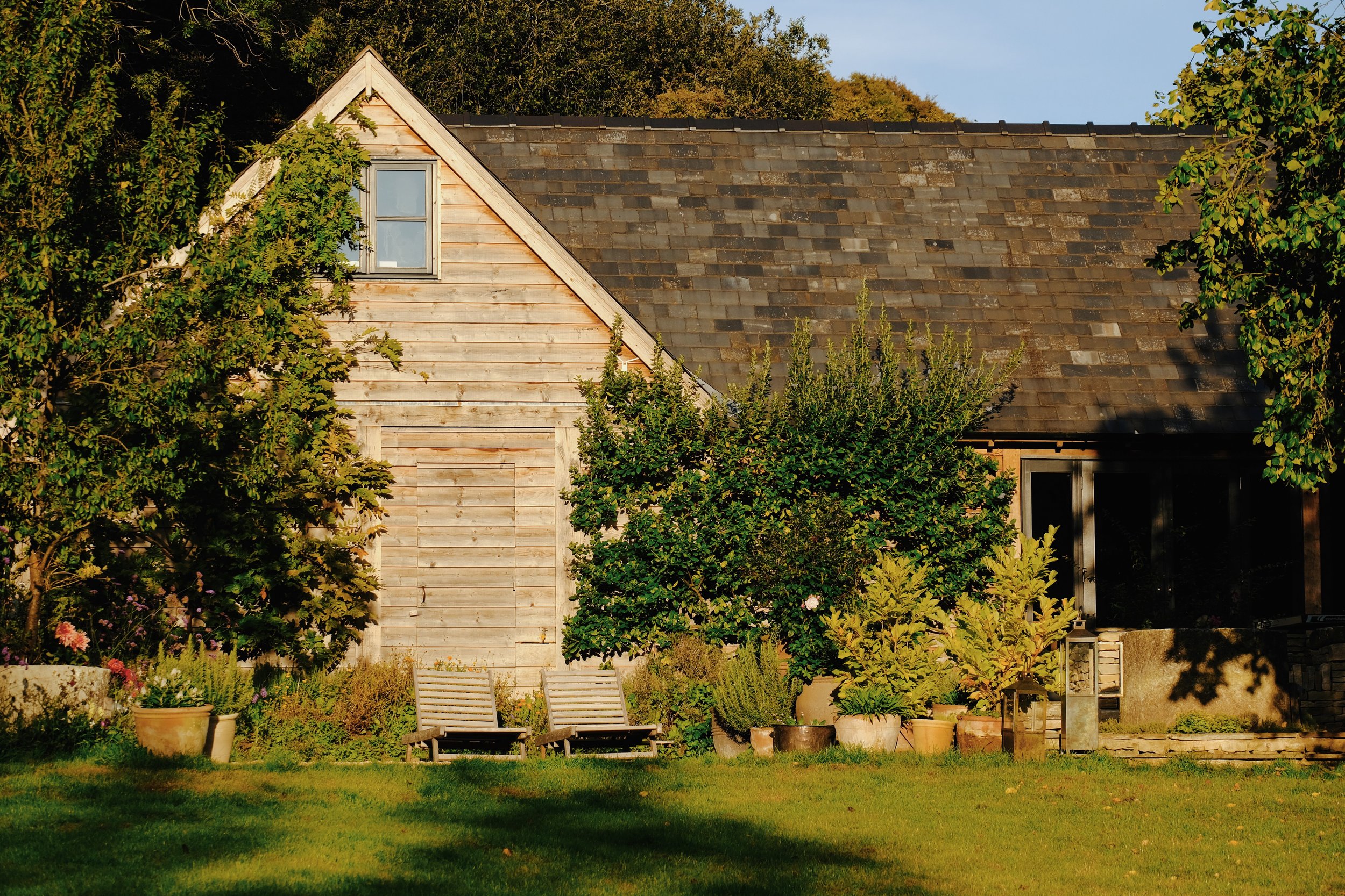 Library - 1 of 1 (21).jpeg