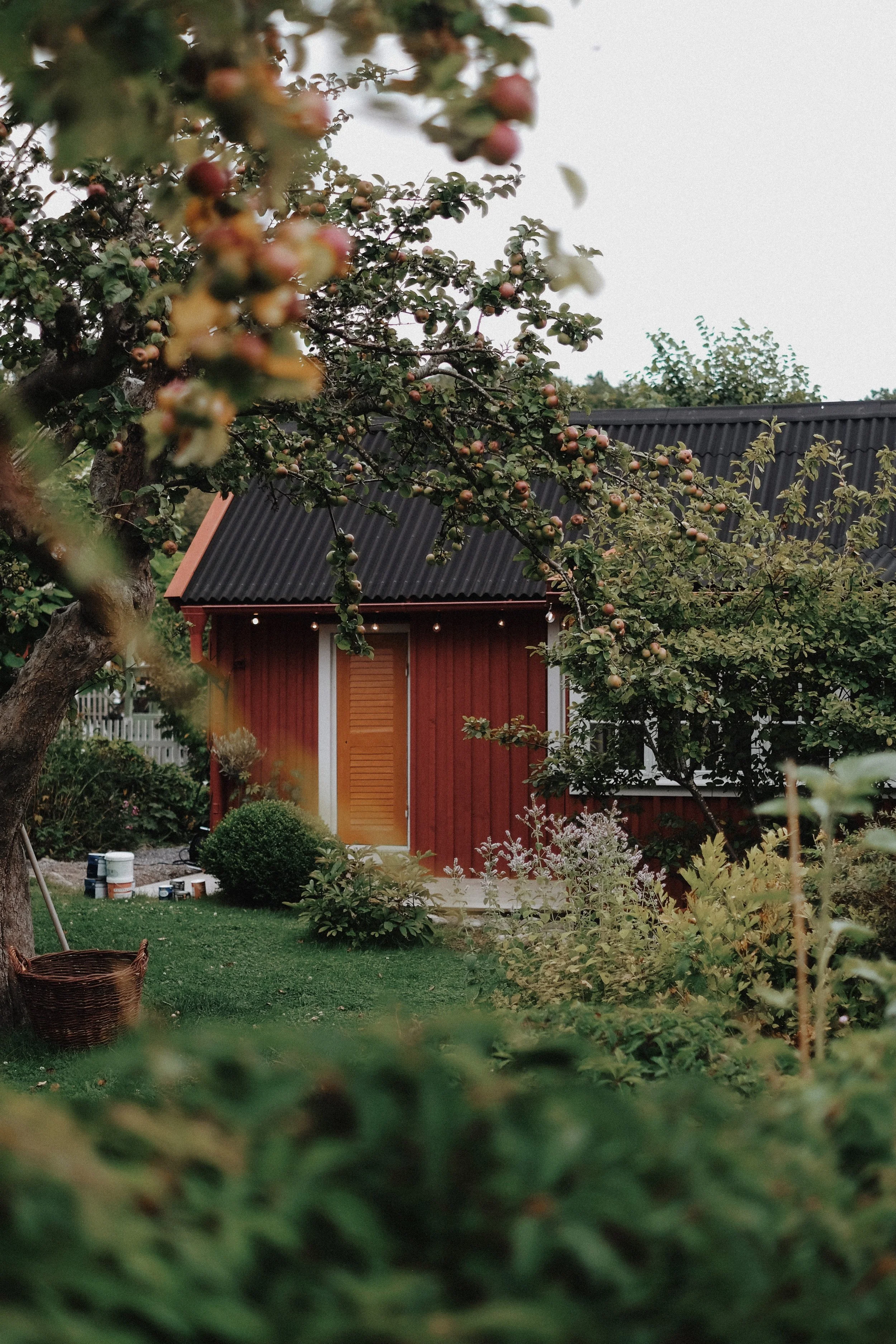 Library - 1 of 1 (8).jpeg