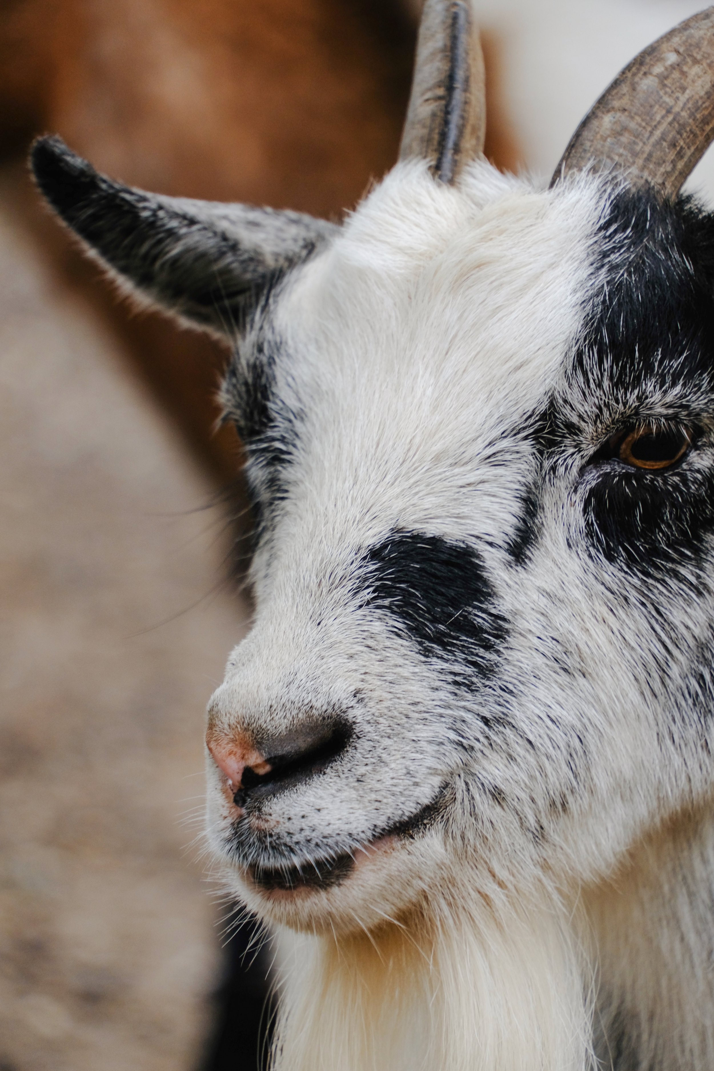 Restaries - 131 of 374.jpeg