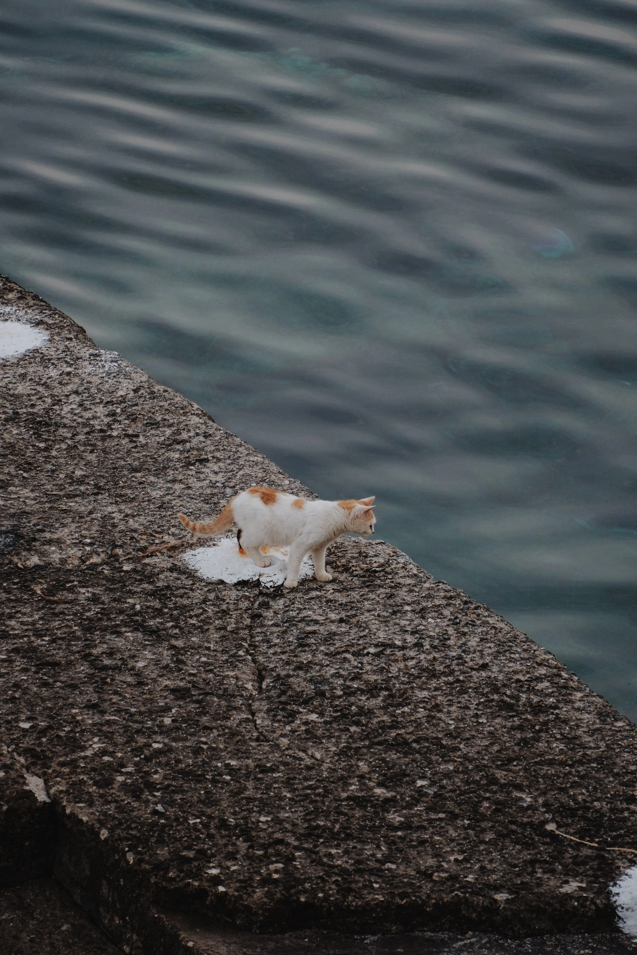 All Photos - 1 of 1 (10).jpeg