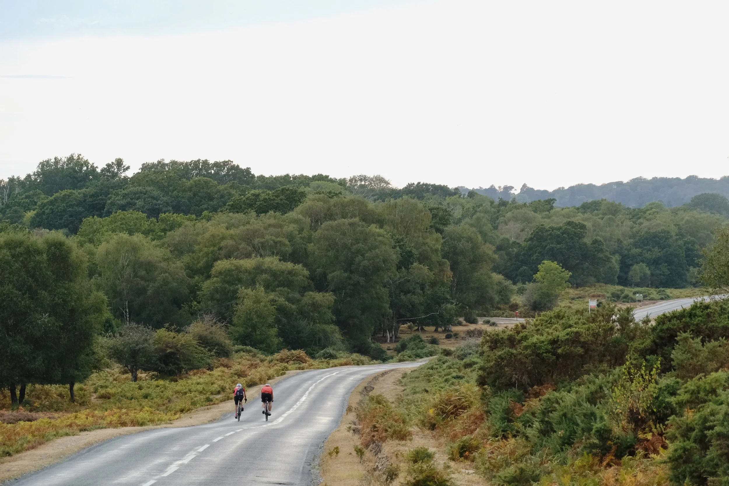 Emma_Lavelle_Limewood_Aug26_506.jpeg