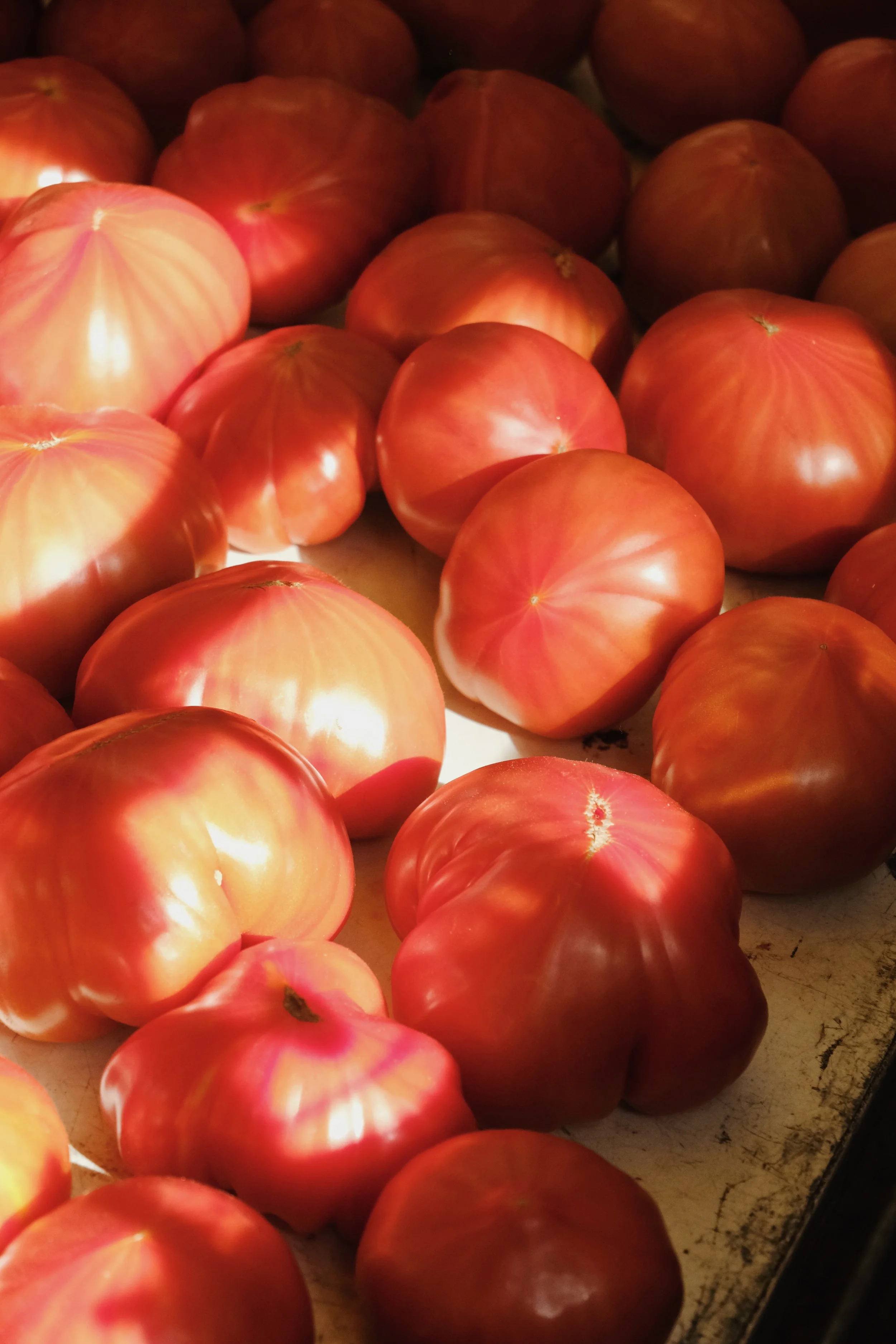 Emma_Lavelle_Madrona_MarketDay_15.jpeg