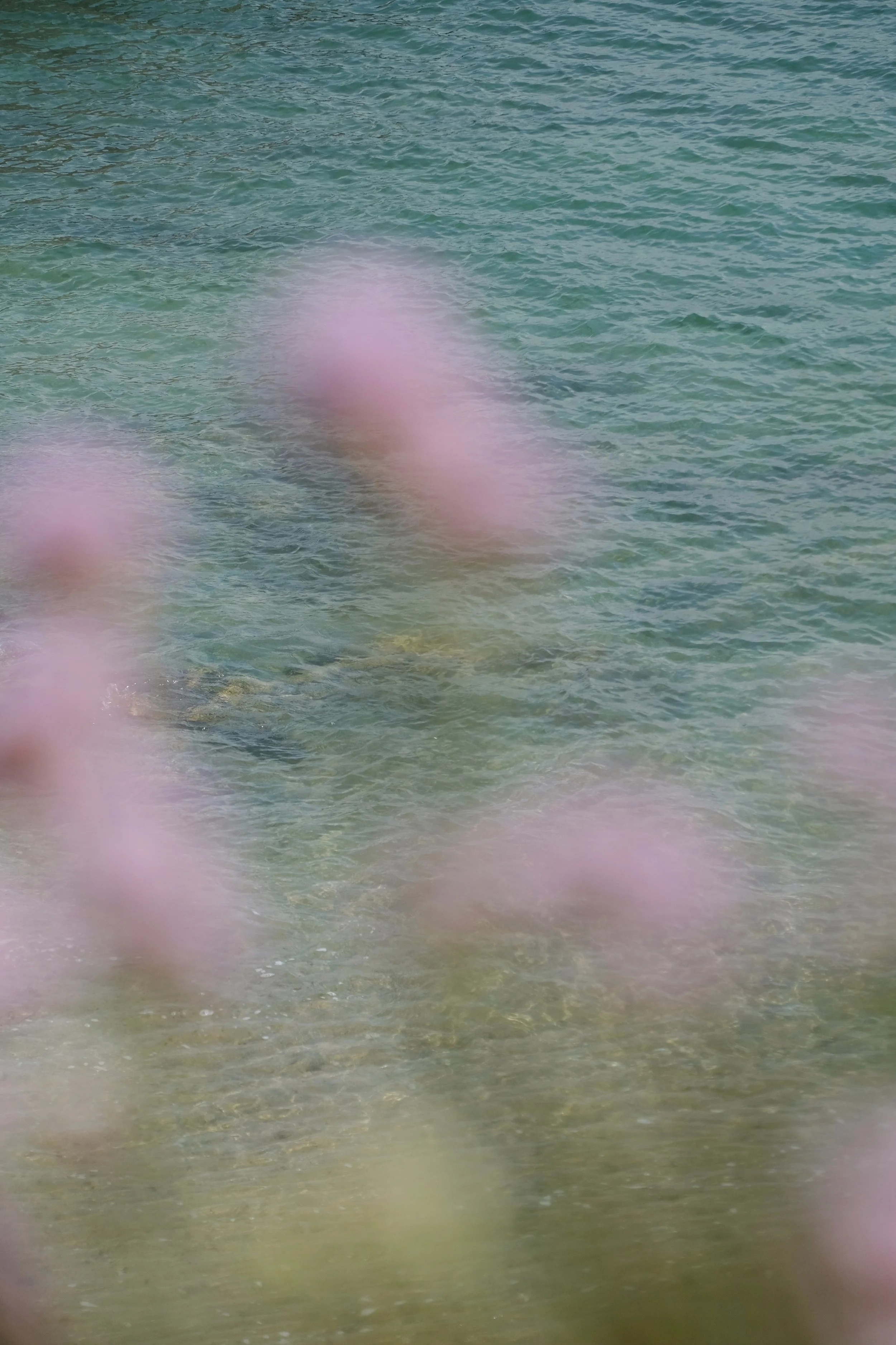 Prussia Cove May 25 - 4 of 14.jpeg