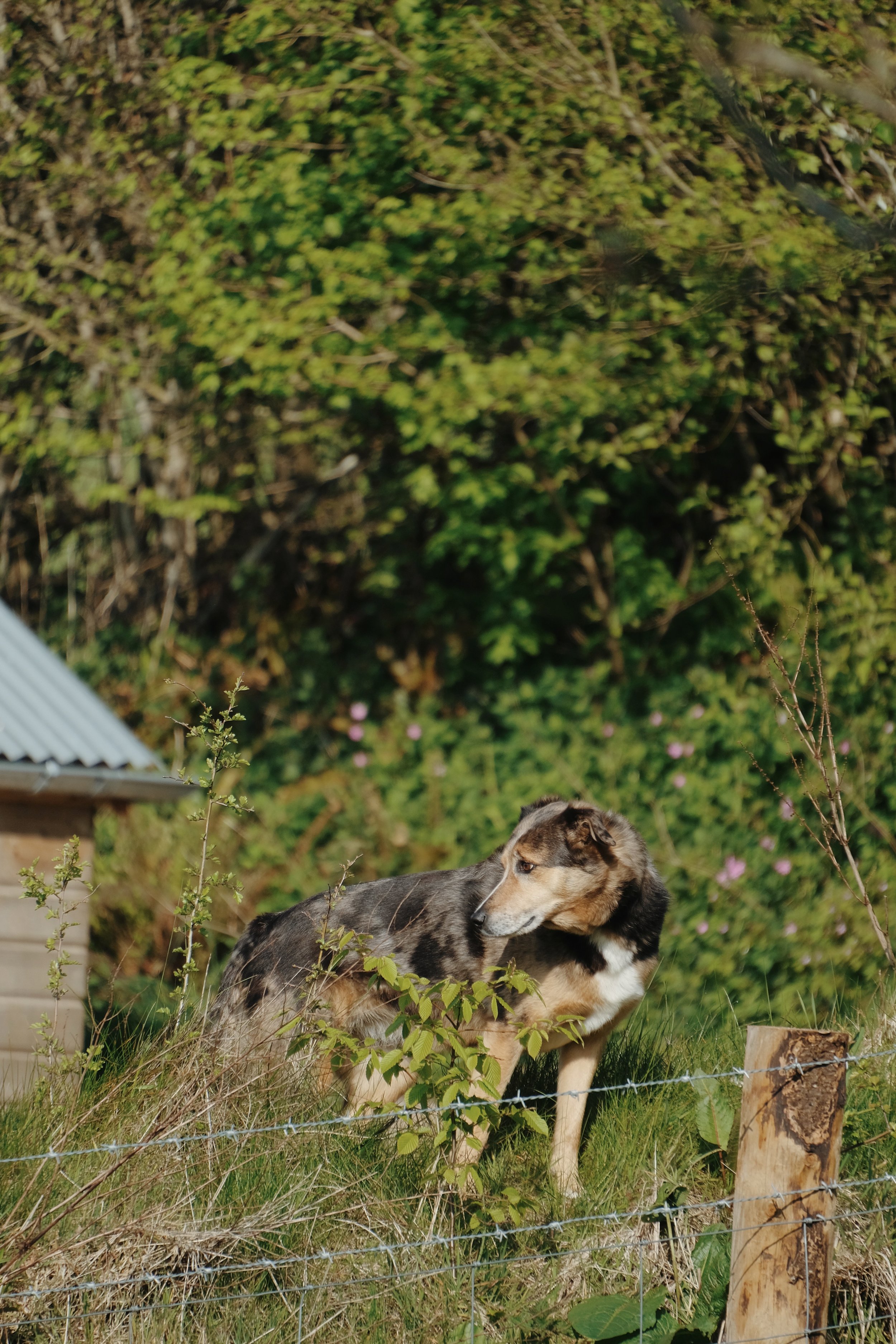 Fowlescombe - 244 of 618.jpeg