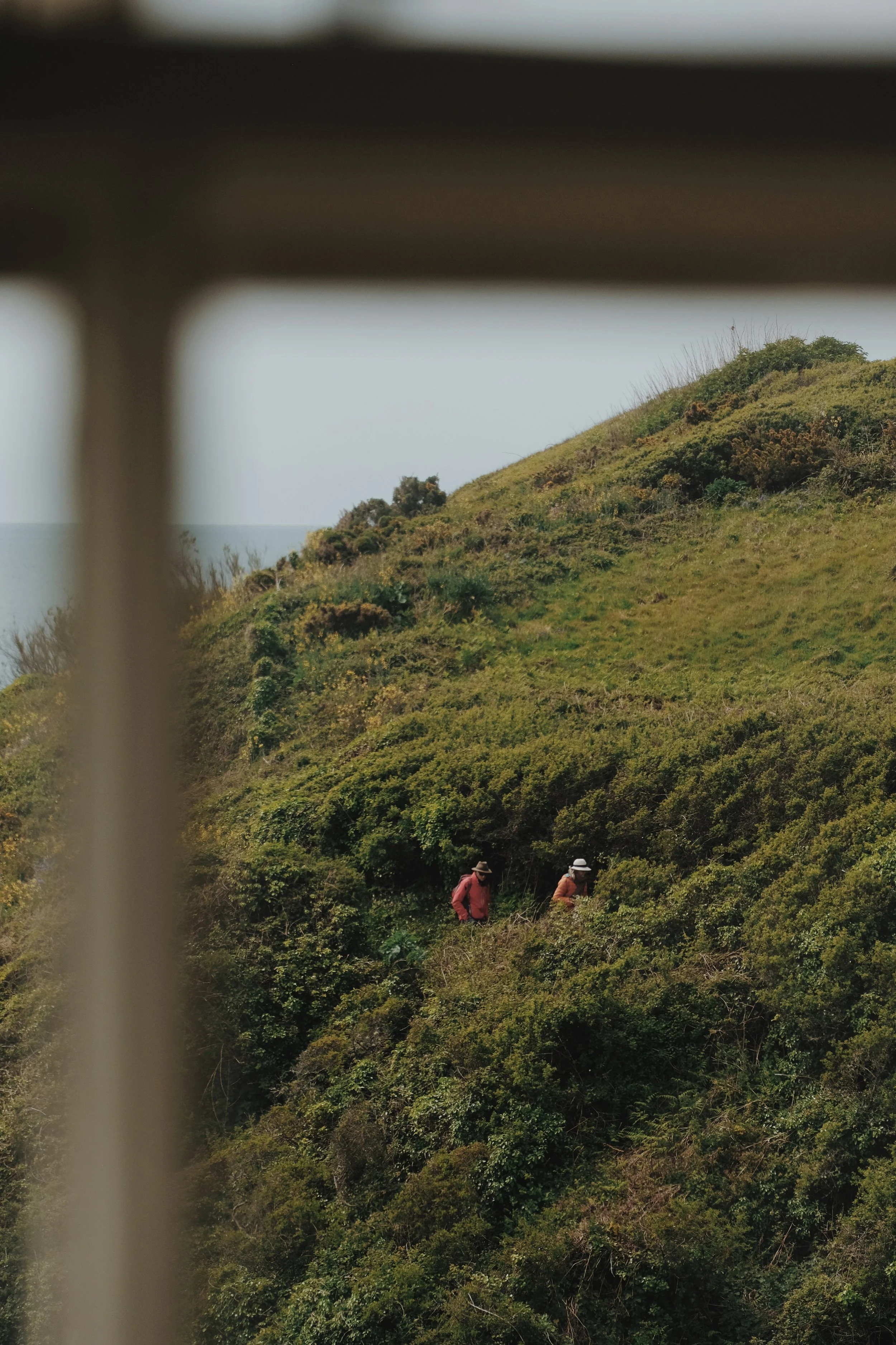 Prussia Cove May 25 - 14 of 15.jpeg