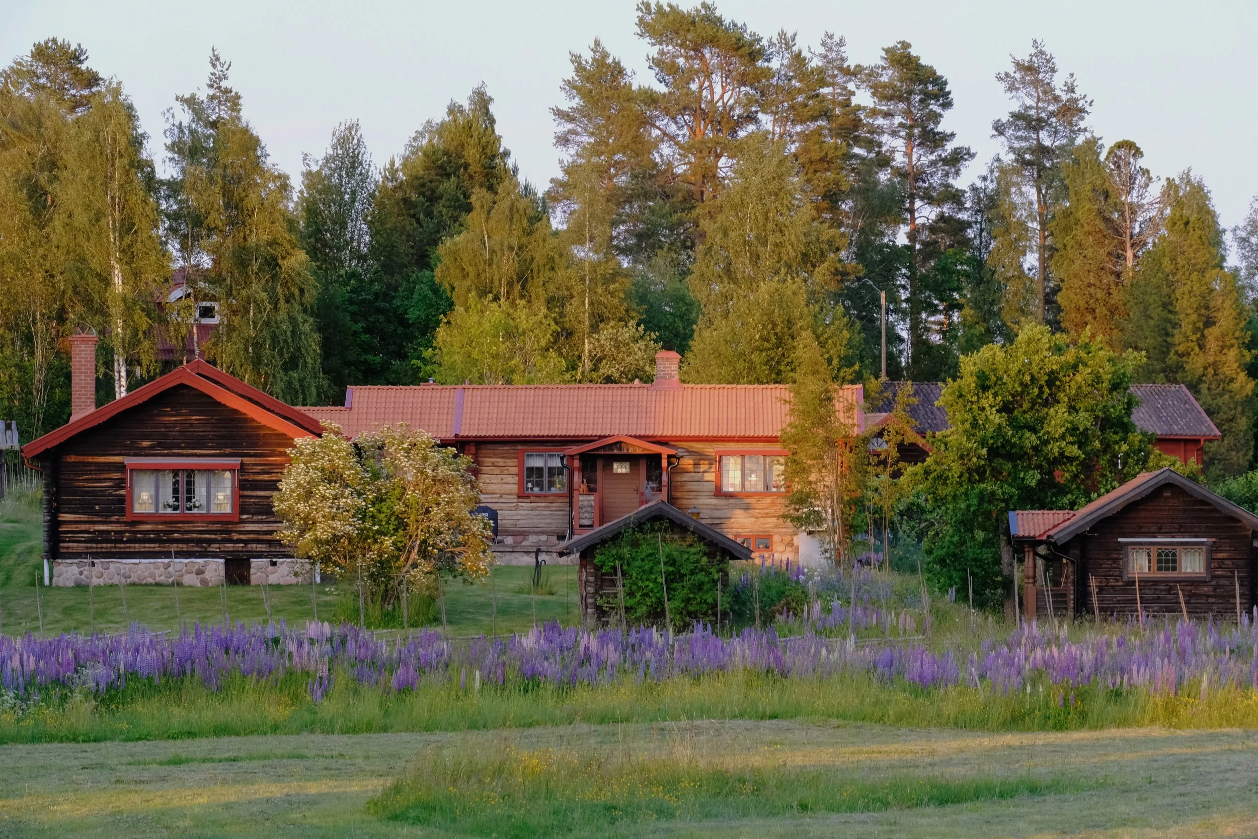 Emma _Lavelle_Sweden_1016.jpeg