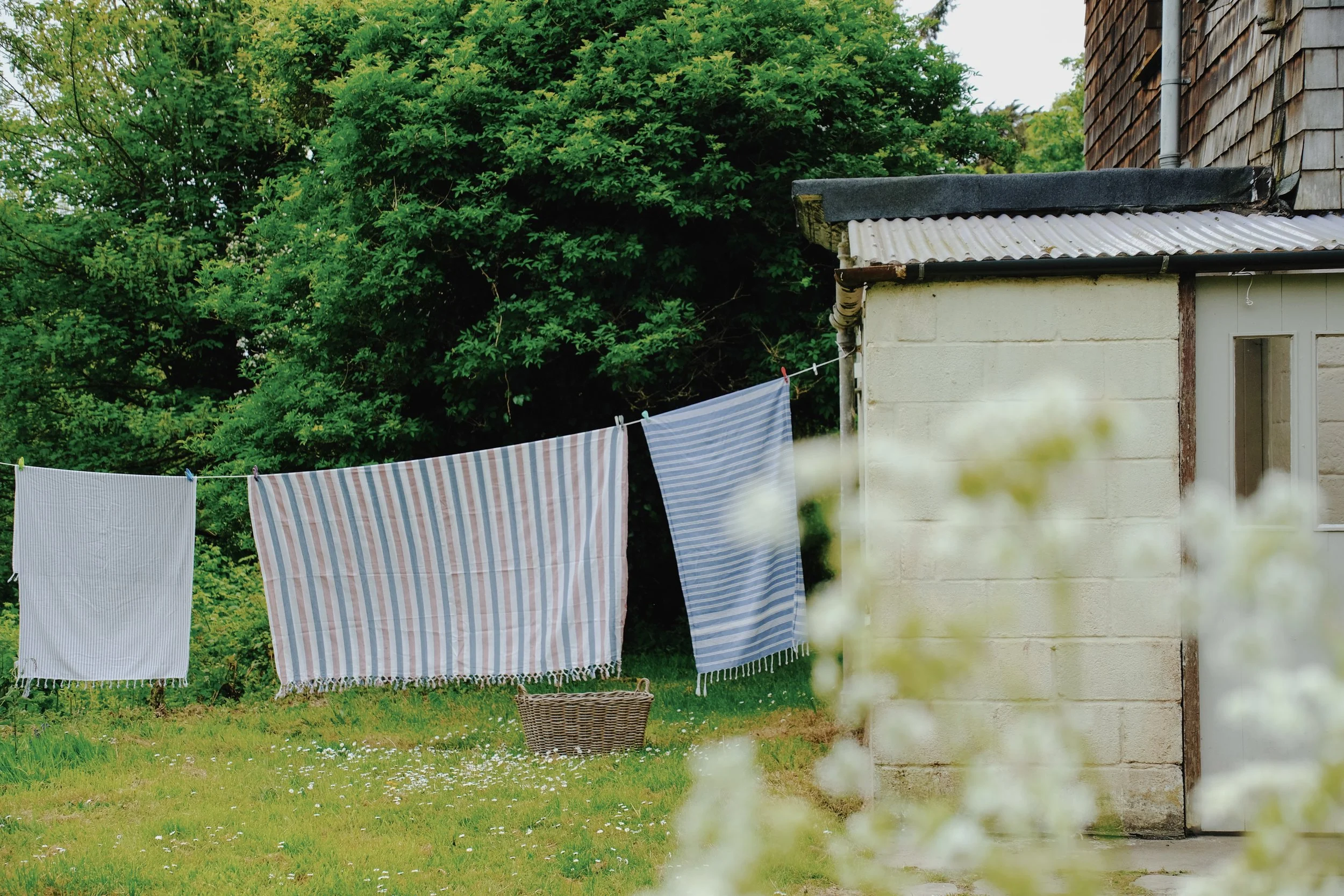 Prussia Cove May 25 - 14 of 15 (1).jpeg