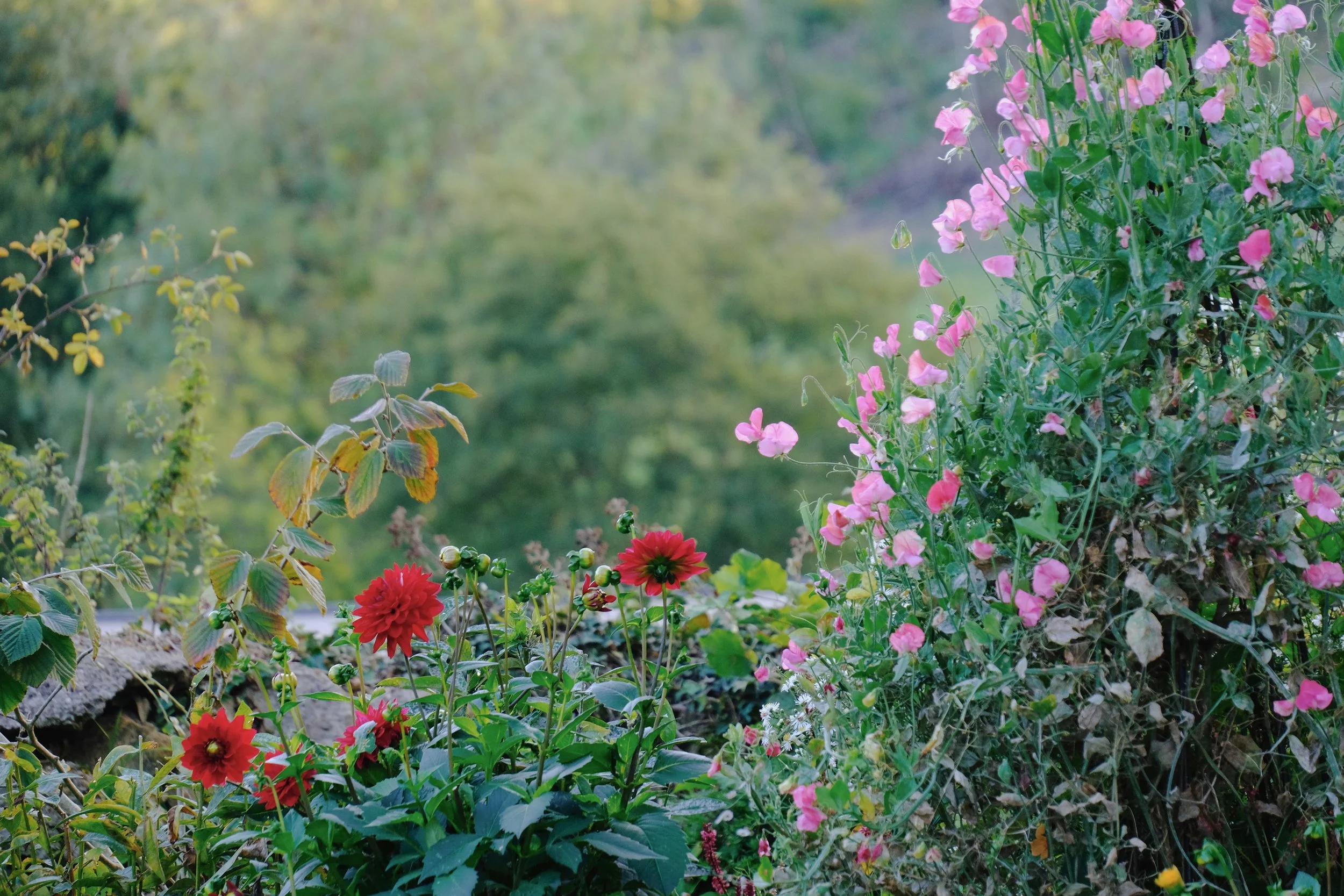 Library - 1 of 1 (22).jpeg