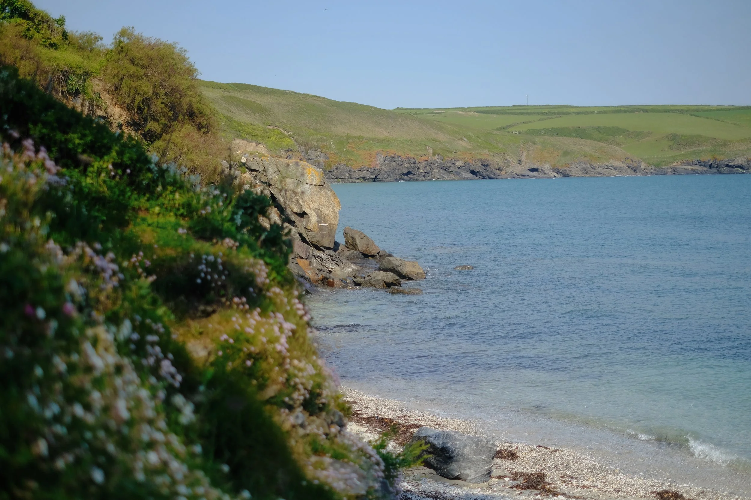 Prussia Cove May 25 - 9 of 15 (1).jpeg