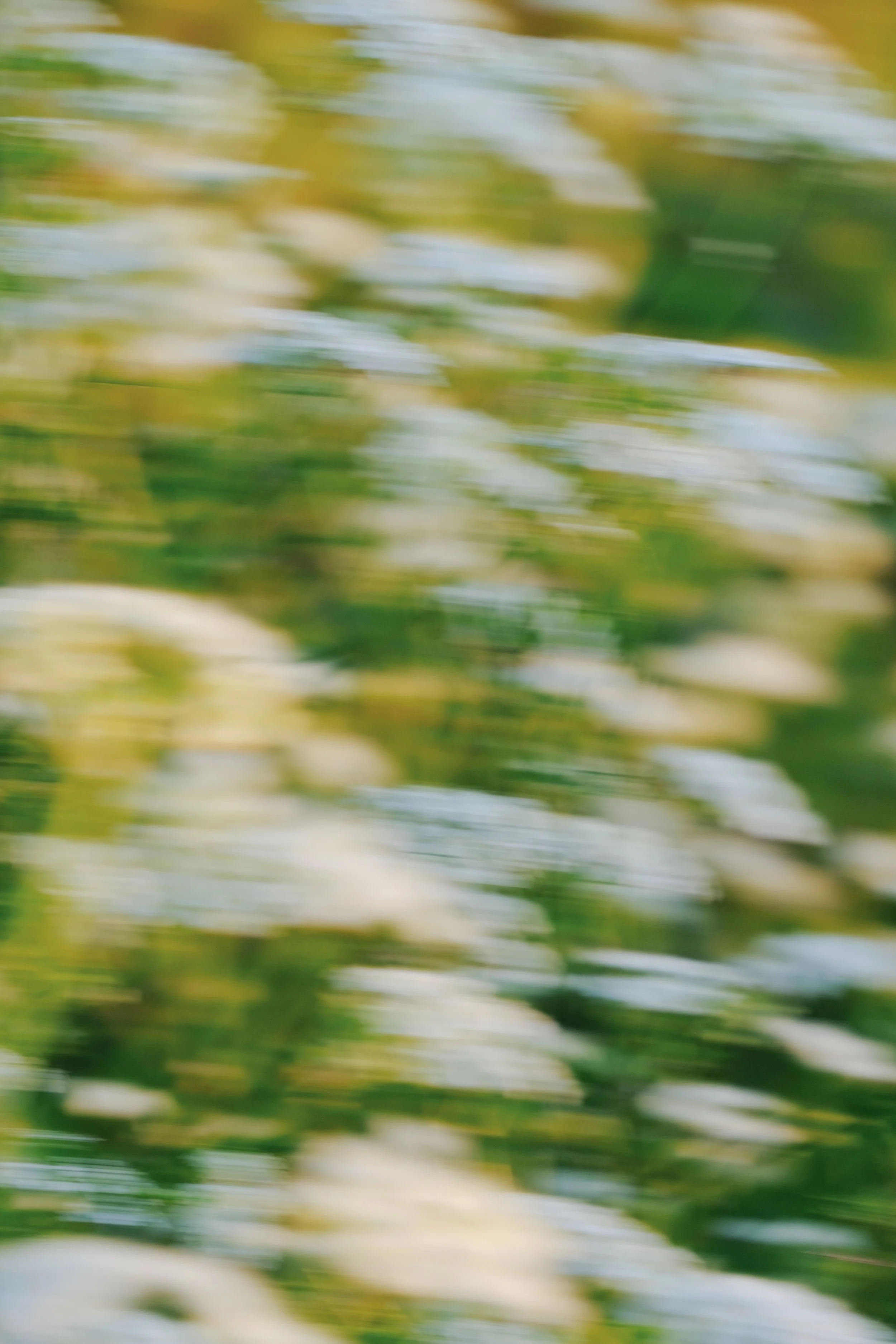 Prussia Cove May 25 - 1 of 15 (1).jpeg