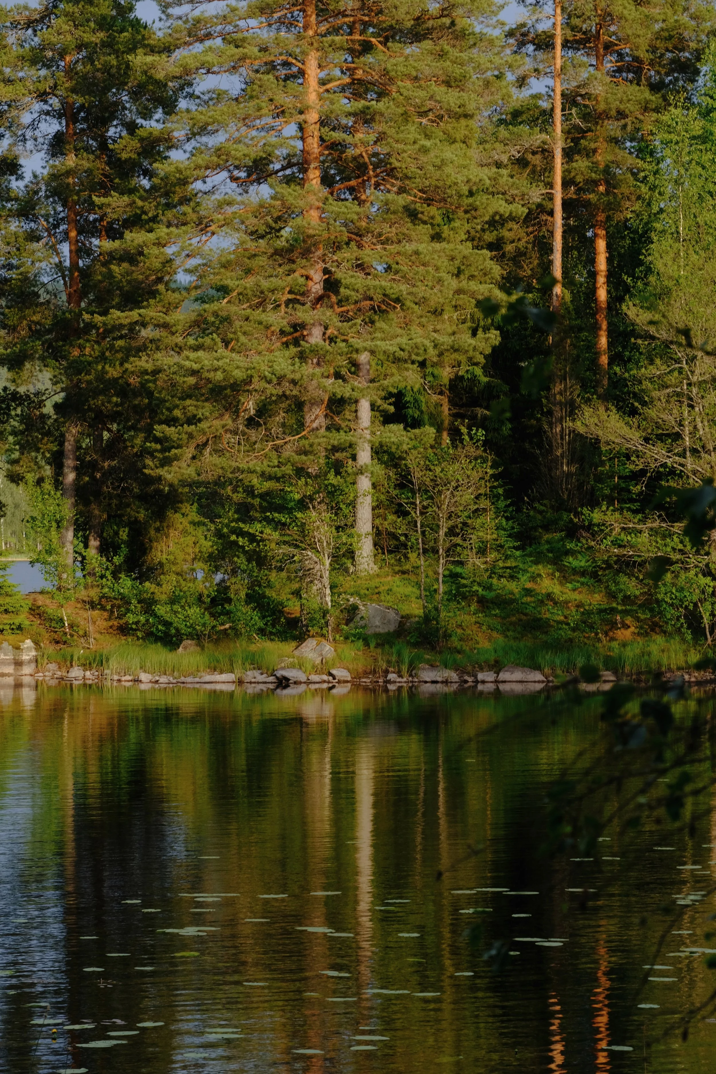 Emma _Lavelle_Sweden_227.jpeg