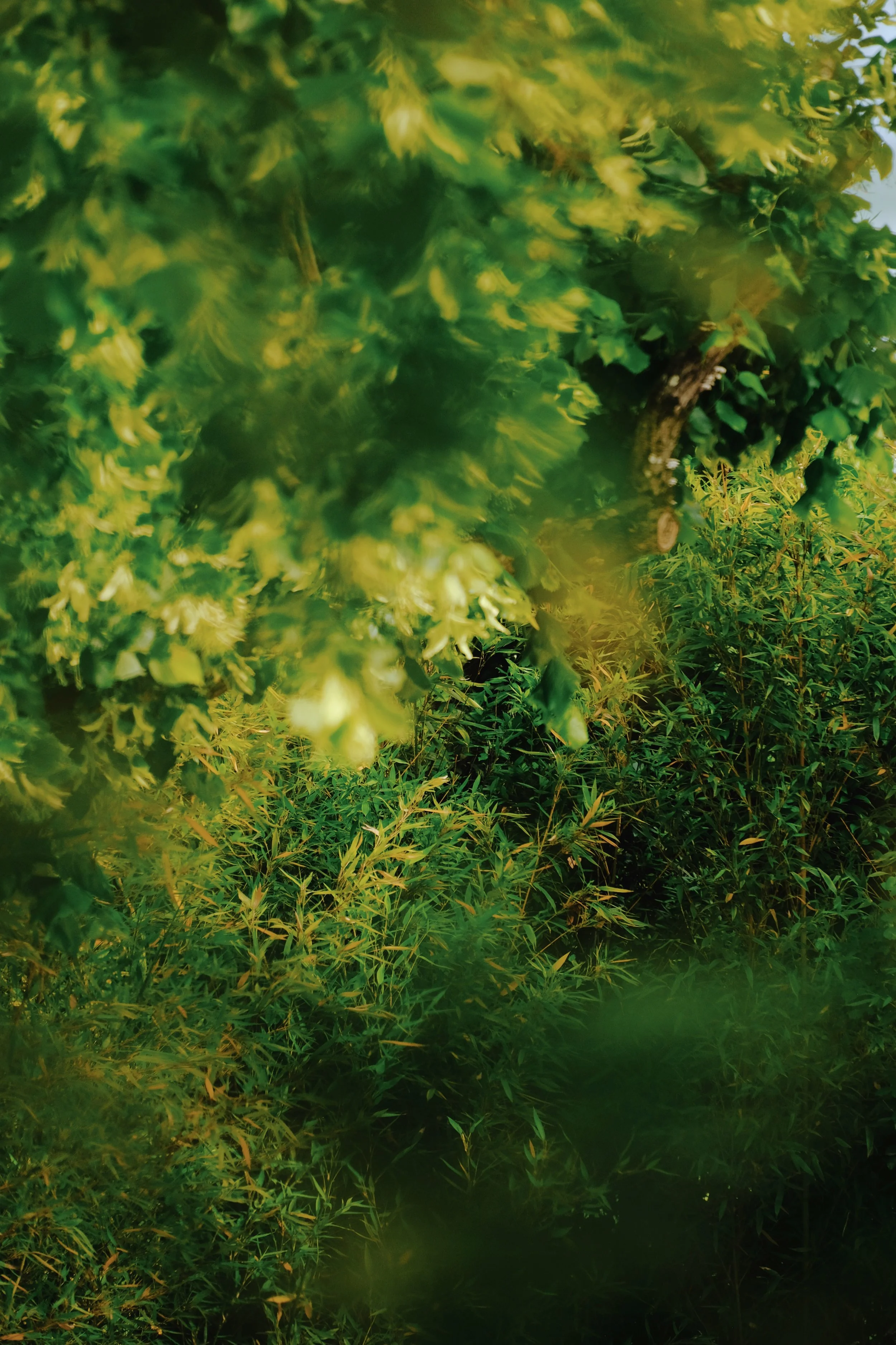 Maison Mastrorelli - 491 of 663.jpeg