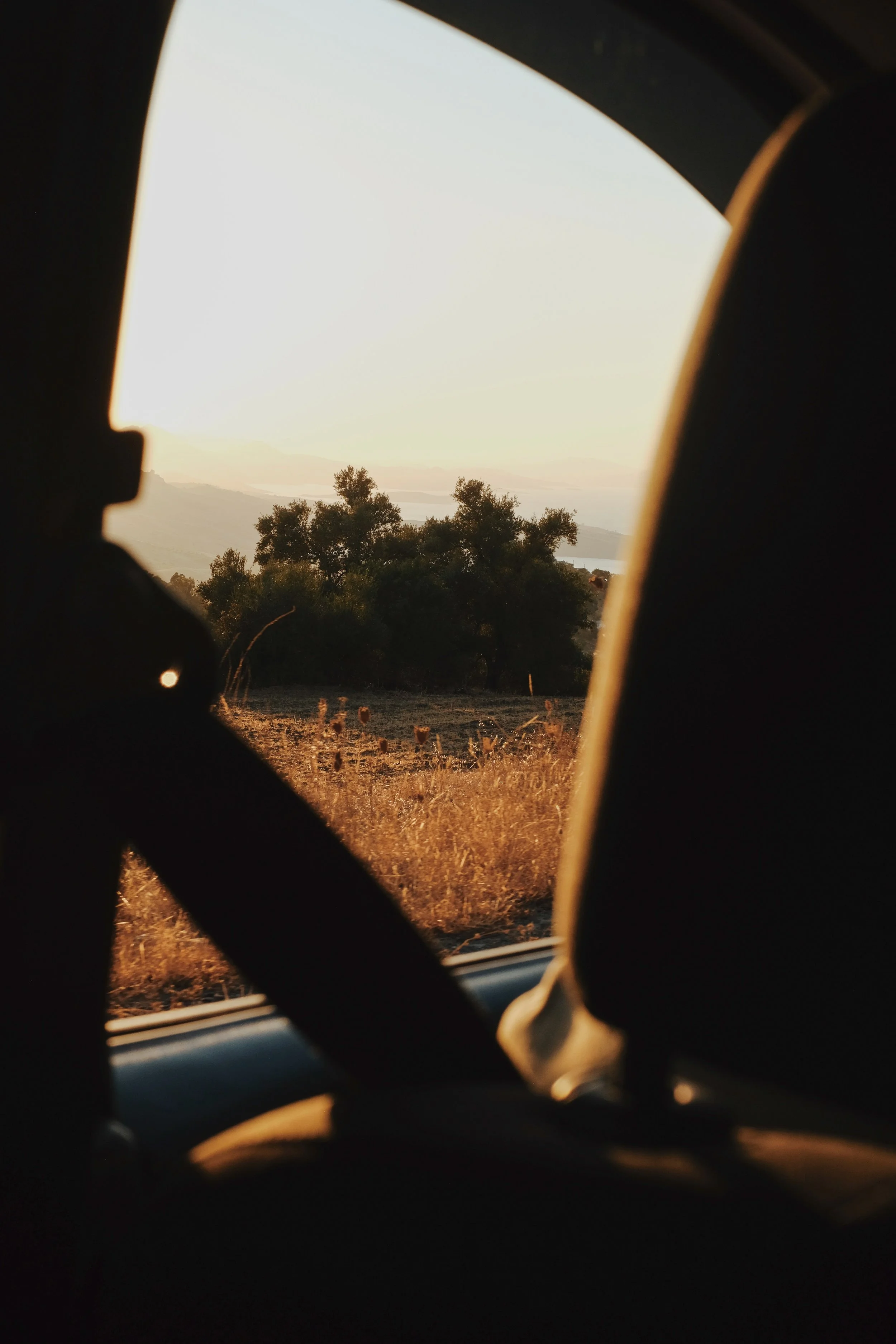Emma_Lavelle_Thread_Caravan_September_26_358.jpeg