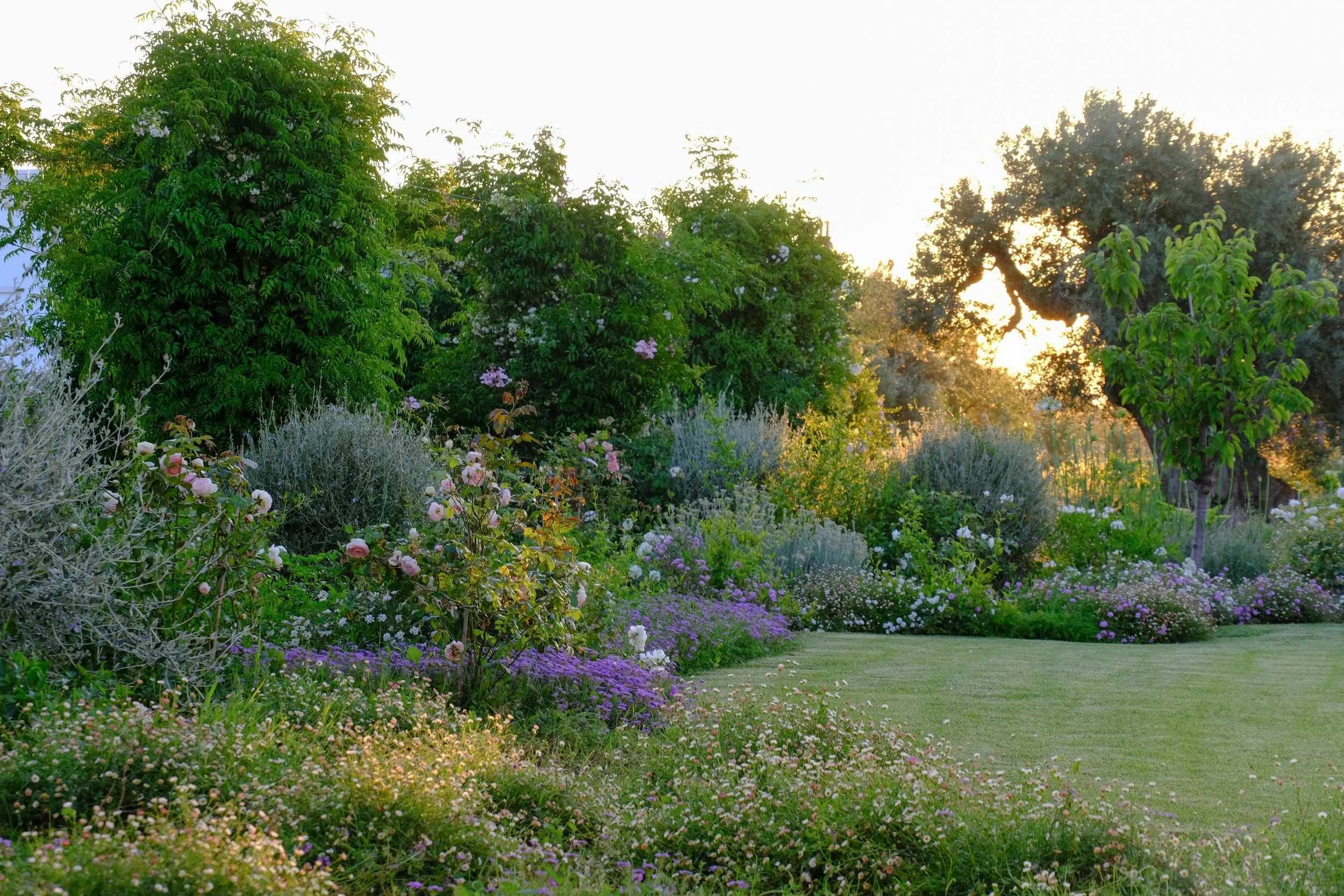 Favourites - 4 of 4.jpeg