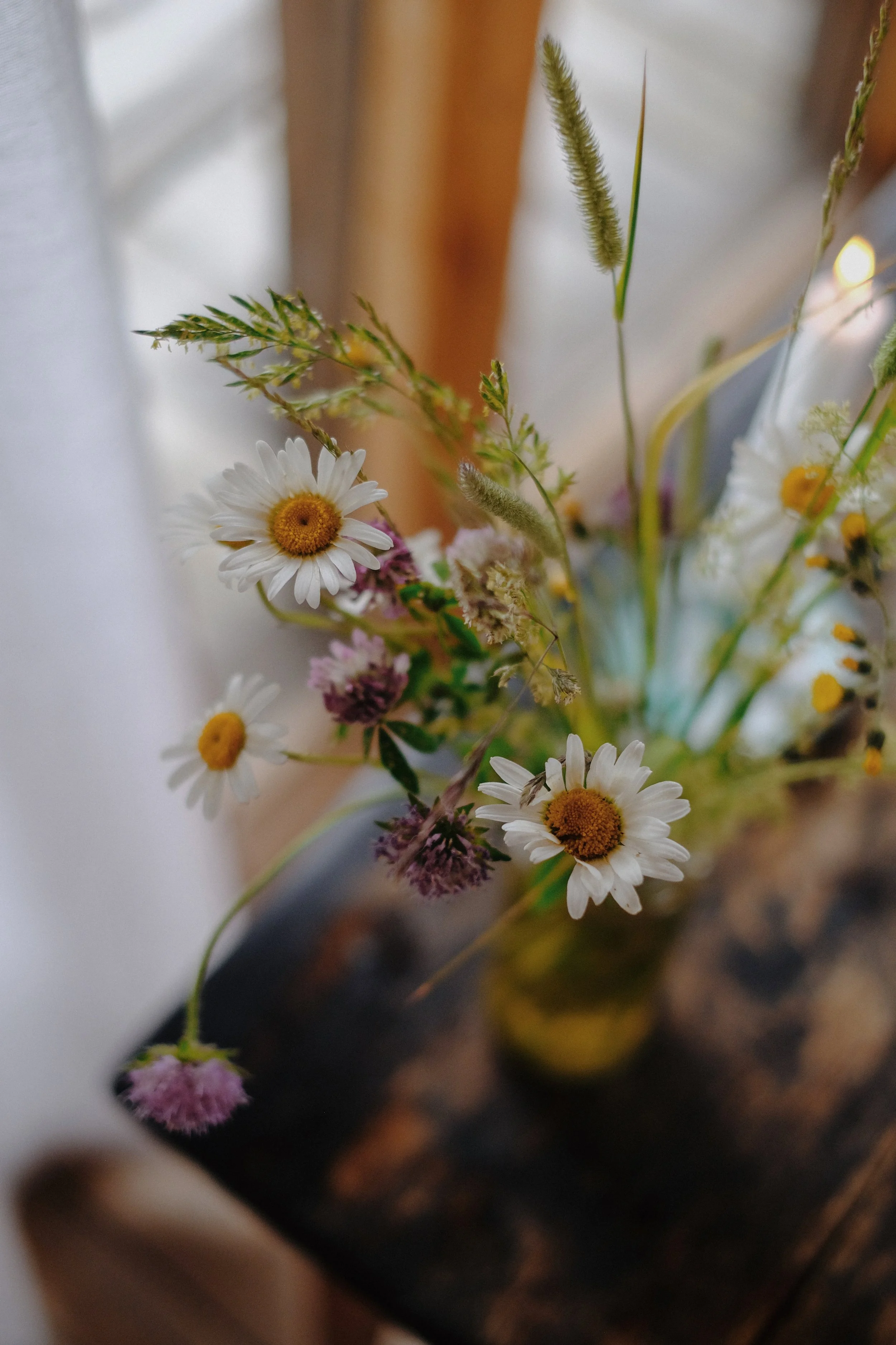 Emma _Lavelle_Sweden_395.jpeg