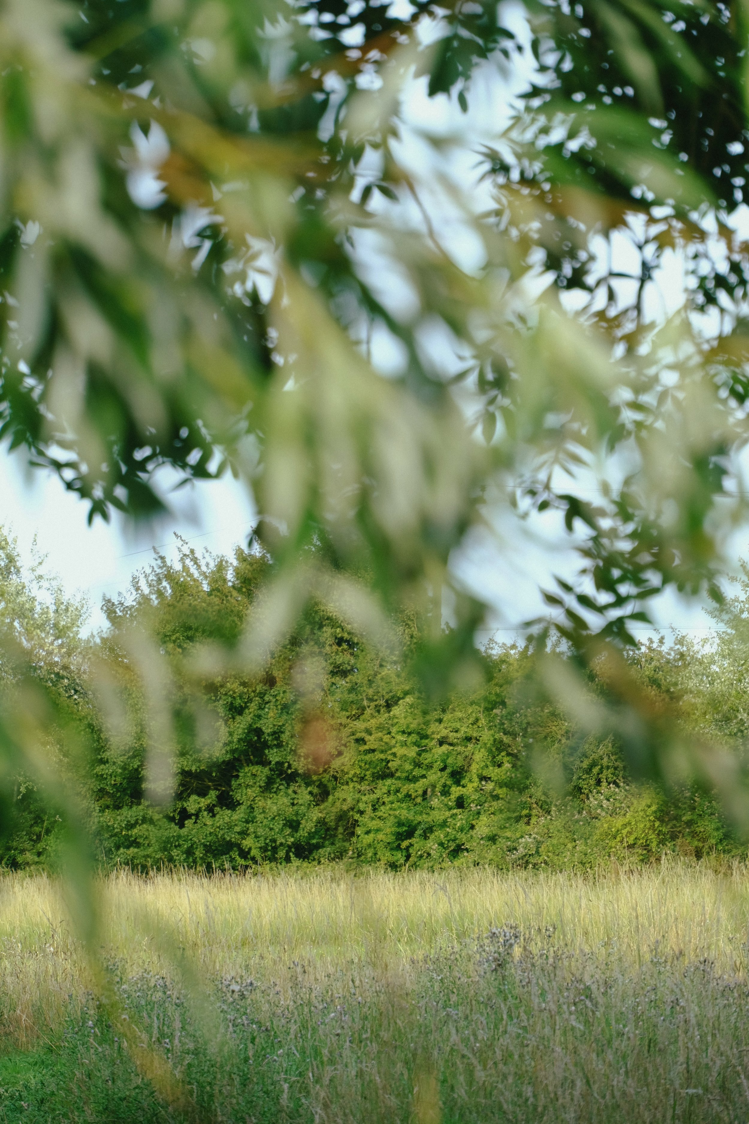 Restaries - 308 of 374.jpeg