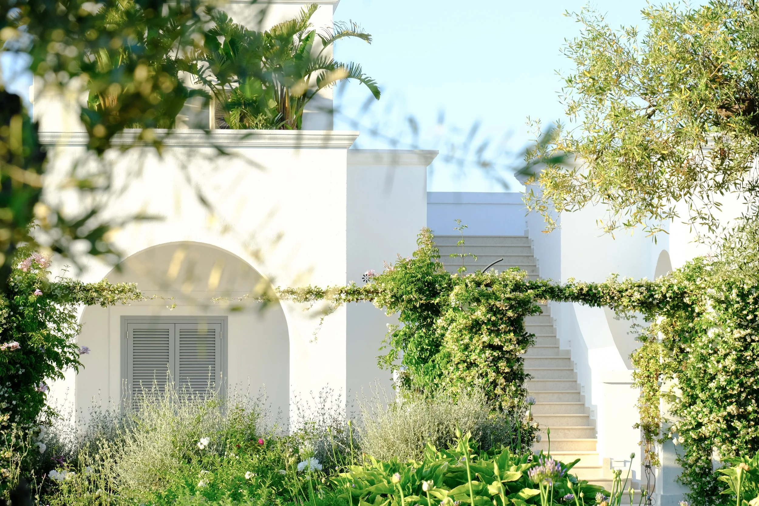 Favourites - 1 of 1 (3).jpeg