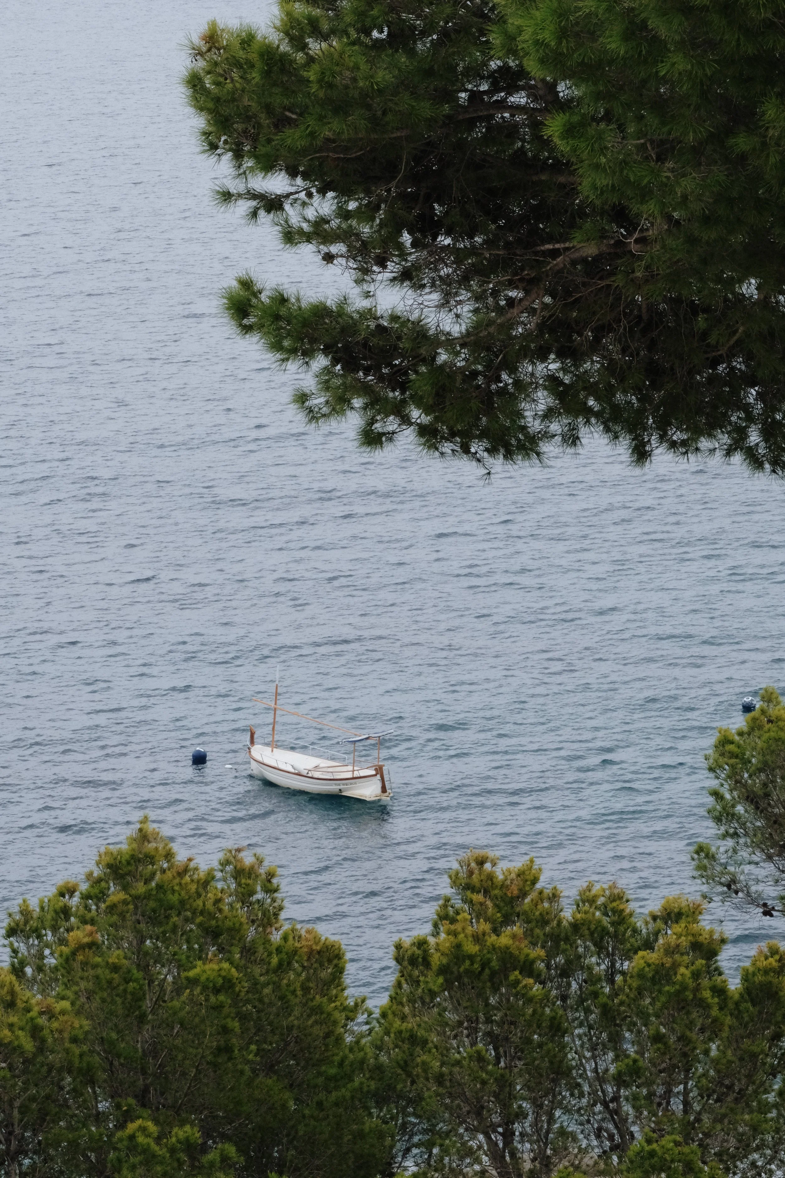 Photo 06-10-2024, 16 12 59.jpg