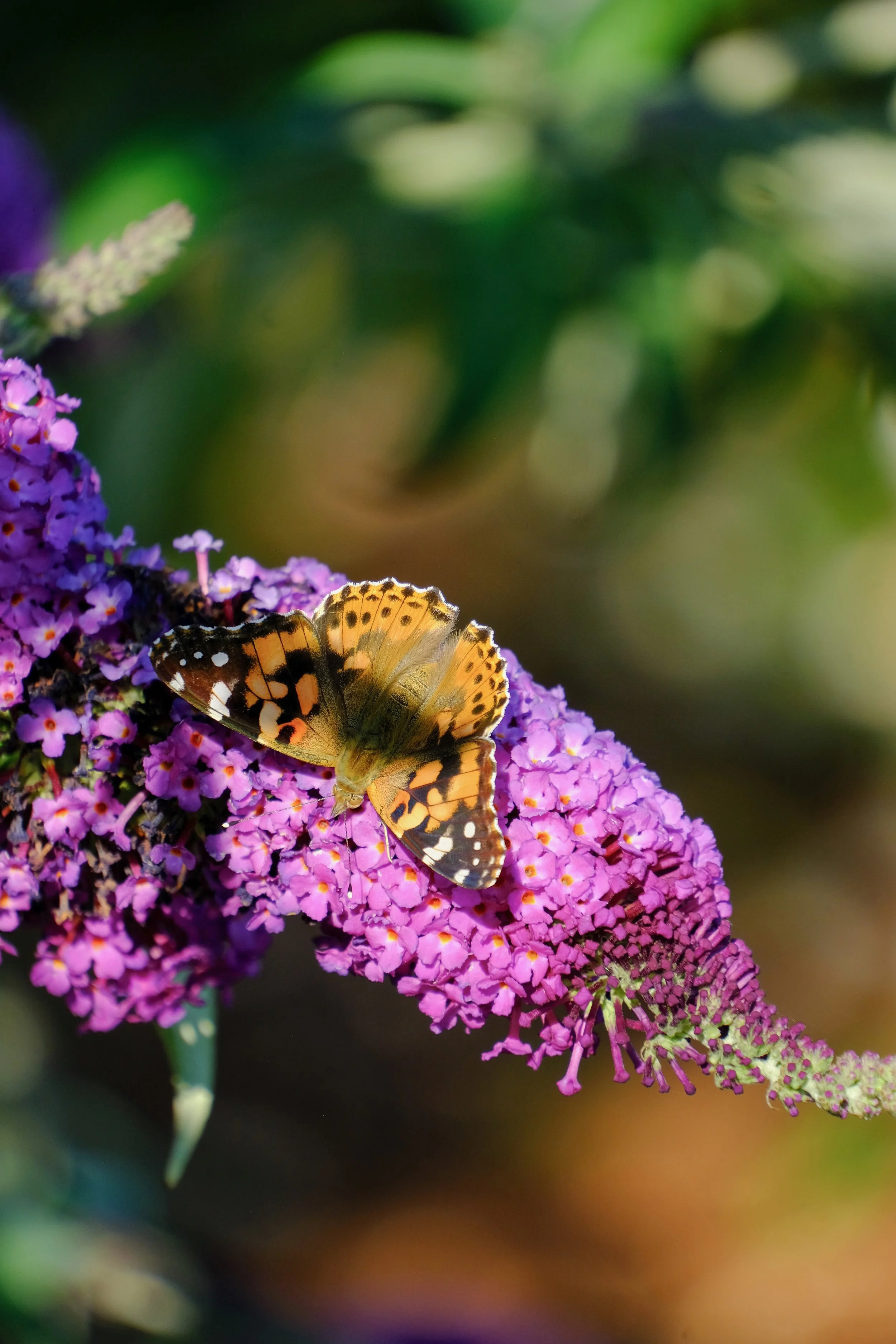 Favourites - 1 of 1 (7).jpeg