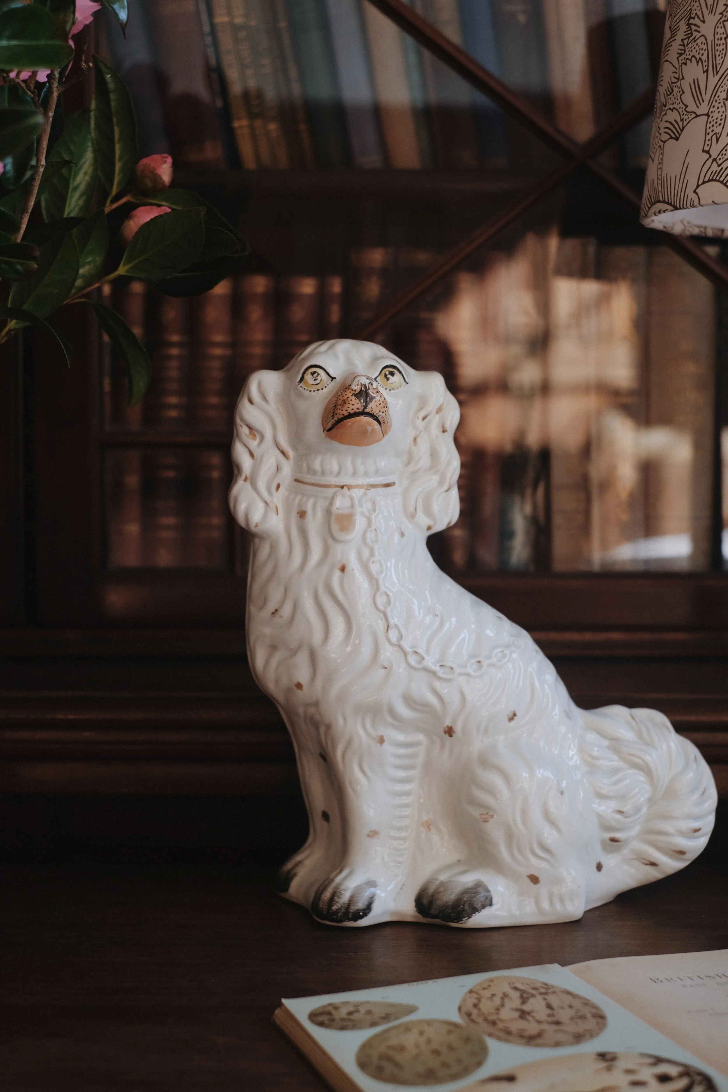 Prussia Cove Feb 25 - 4 of 16.jpeg