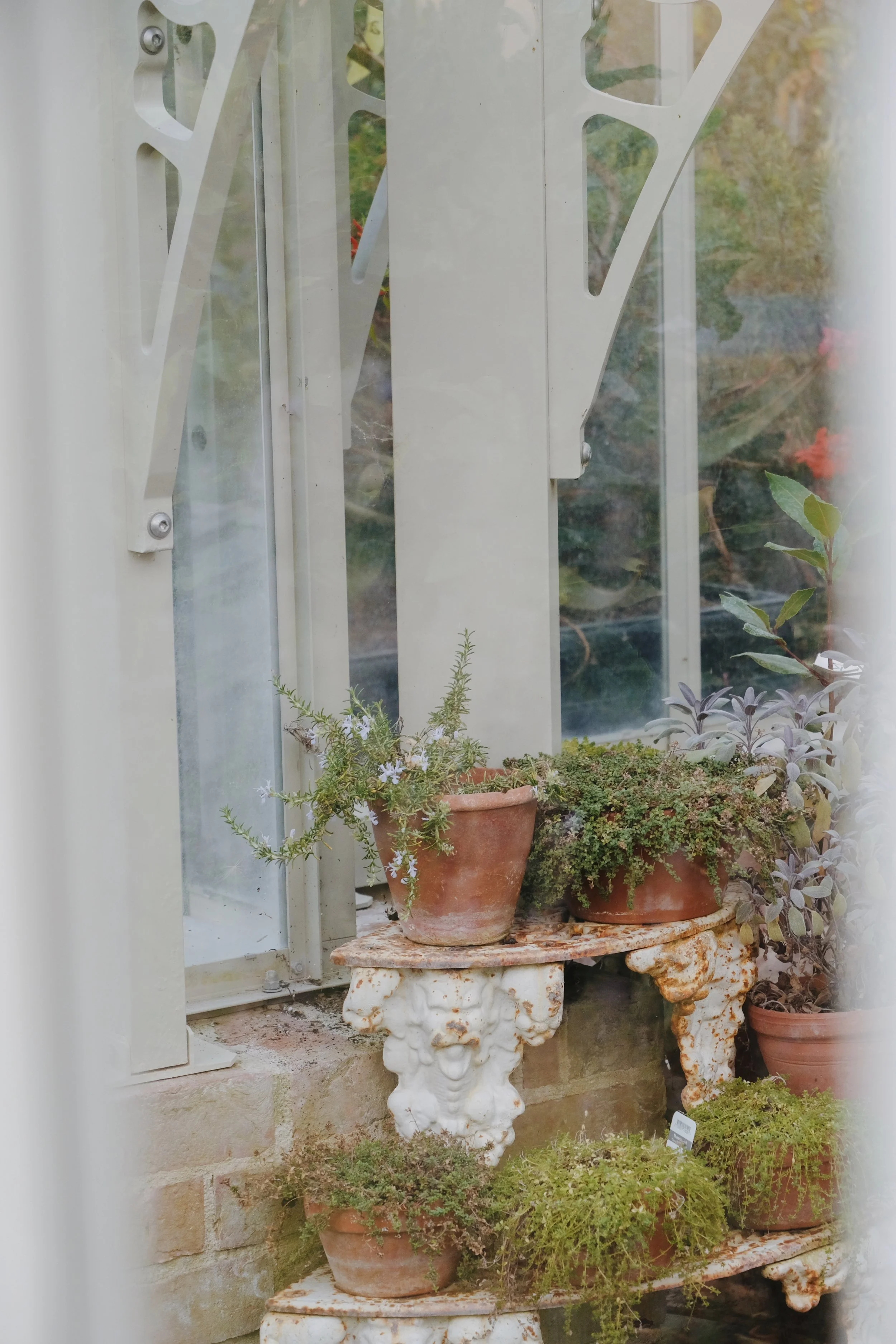 Emma_Lavelle_Limewood_Aug26_57.jpeg