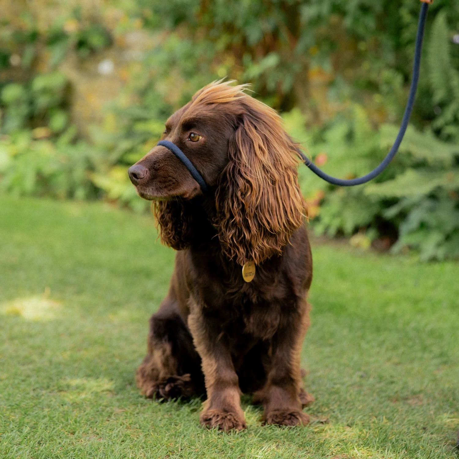 8mm metres At-Heel Lead 'Companion' — Willow and Porter