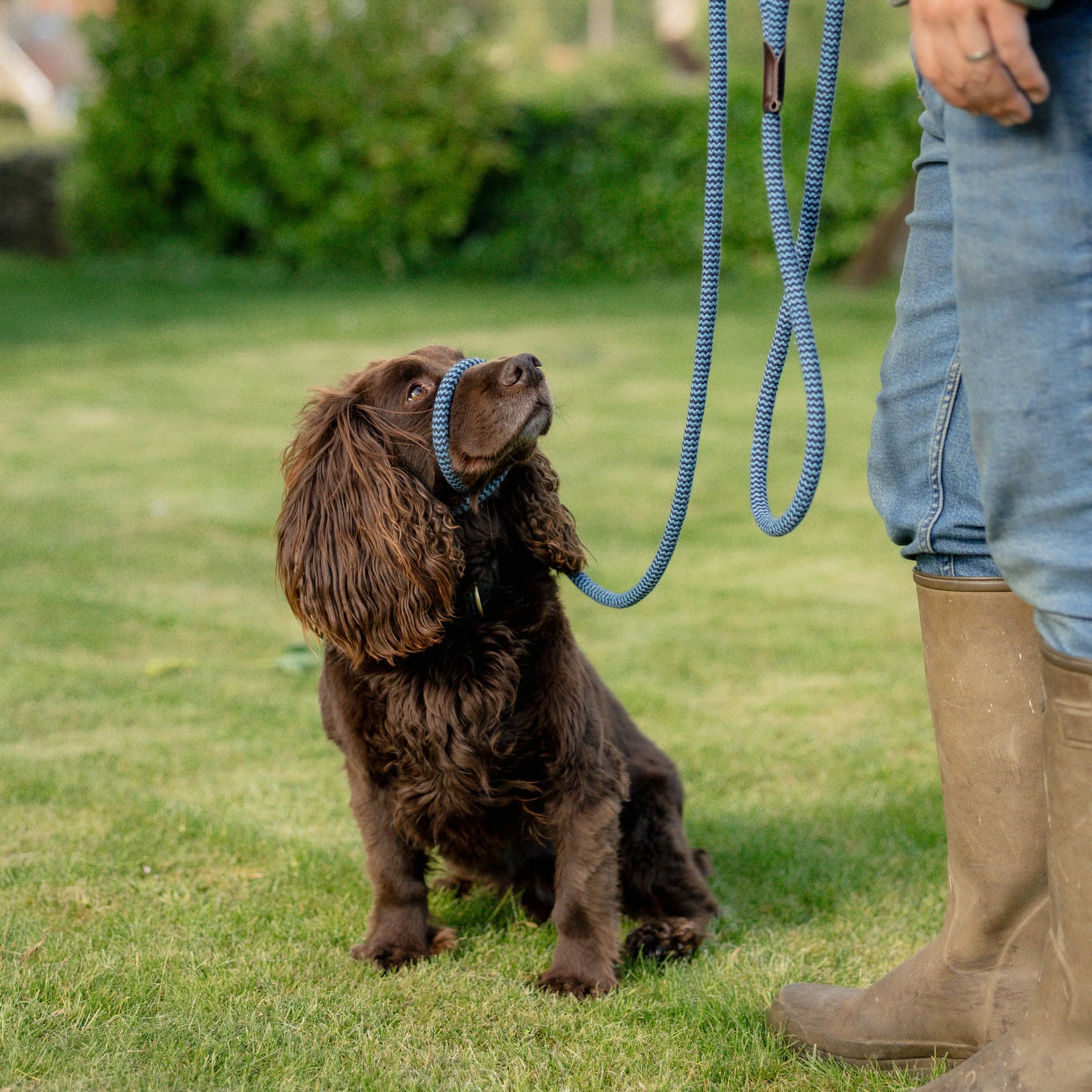 NEW! | 8mm | 3 metres  | Behaviourists Lead ‘Companion’