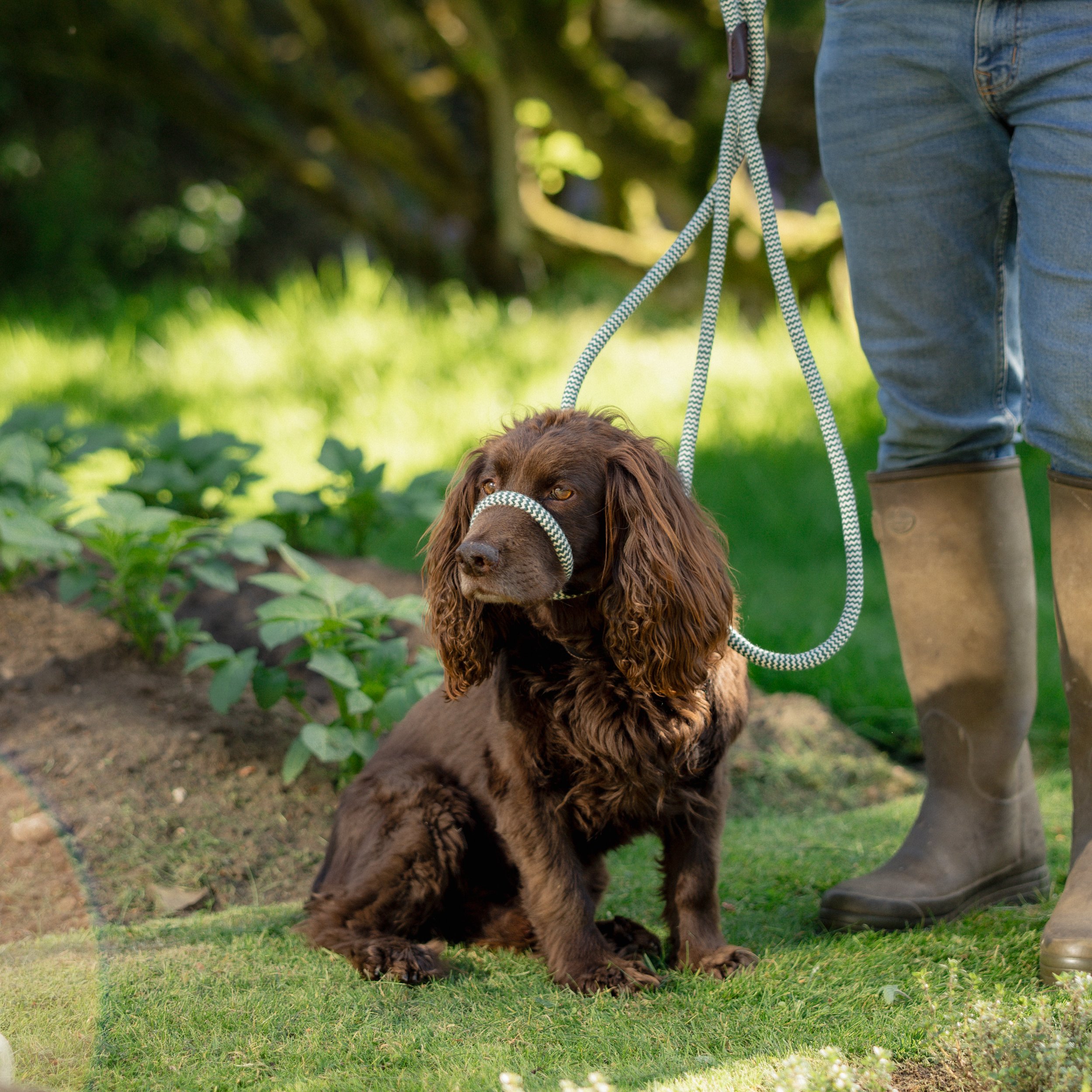 NEW! | 12mm | 3 metres | Behaviourists Lead ‘Ambassador’