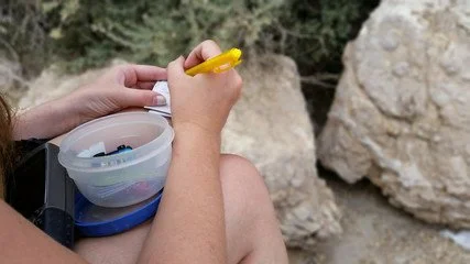 240_F_69318685_hmR2ho5eJefOpPHom1do4JcbSGjqB4Li.jpg
