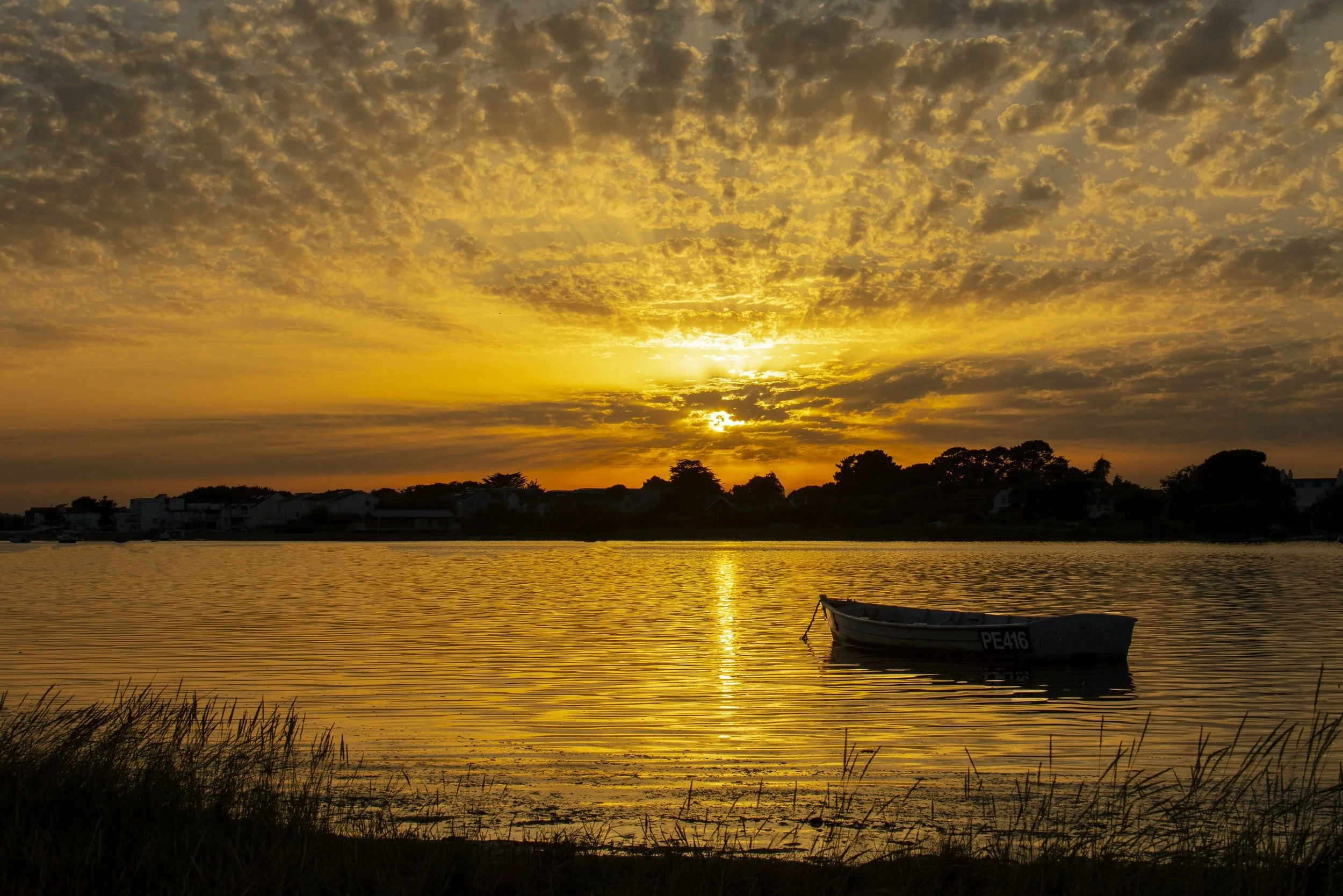 From Migraine Pain and Nausea to Blissful Serenity