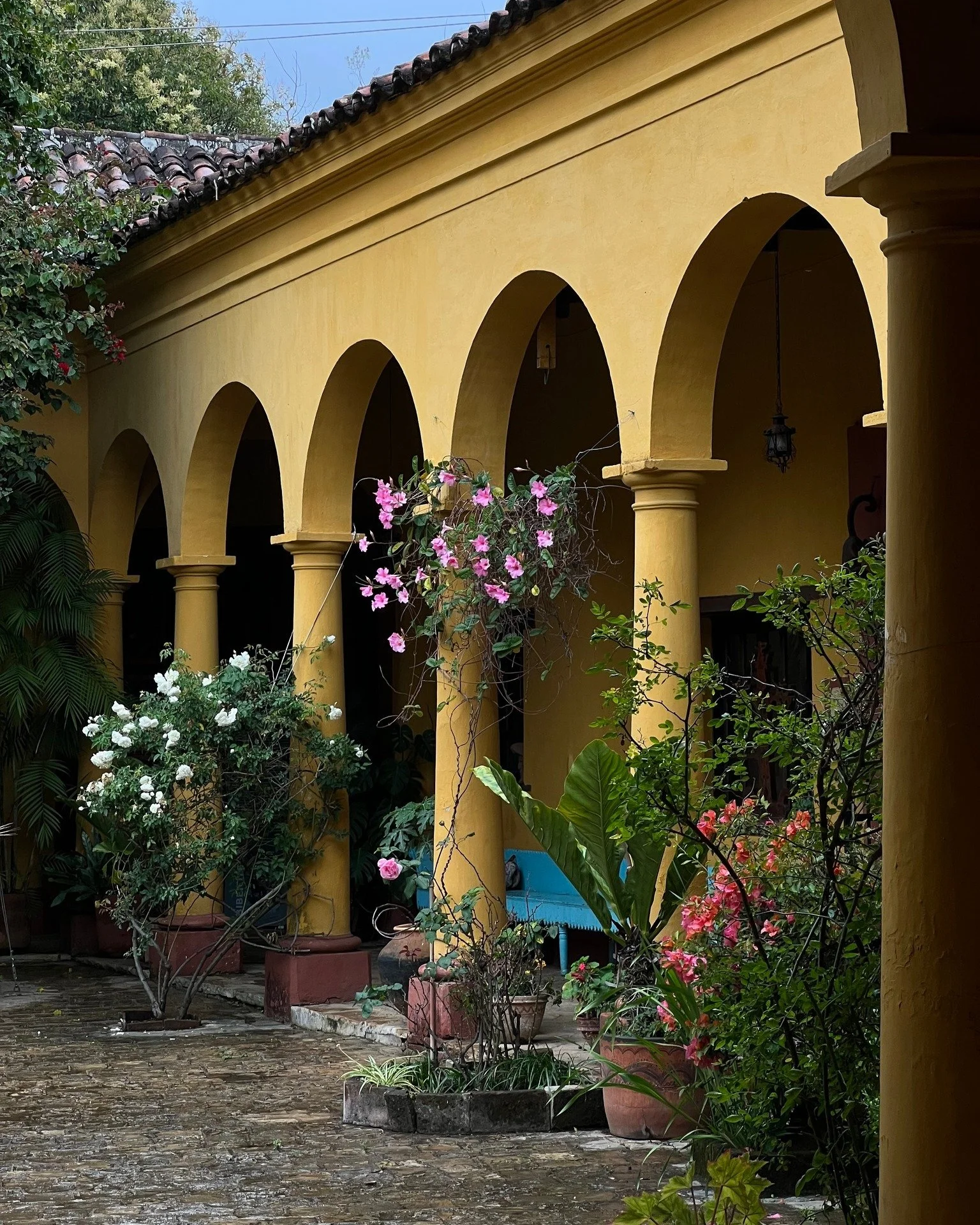 San Crist&oacute;bal est&aacute; lleno de rincones que sorprenden.
 Haz de esta ciudad tu pausa.
Reserva tu estancia en Taller de Juan.

San Crist&oacute;bal is full of places that surprise you.
Make this city your pause.
Book your stay at Taller de 