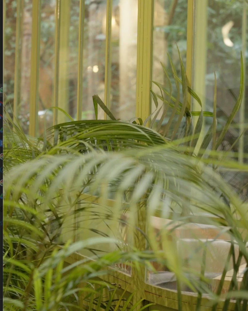 El verde aqu&iacute; acompa&ntilde;a.

Green stays close.

Hosp&eacute;date con nosotros reserva ac&aacute;: www.hoteltallerdejuan.com

#TallerDeJuan #ComoEnCasa #SanCristobal #D&eacute;janosConsentirte