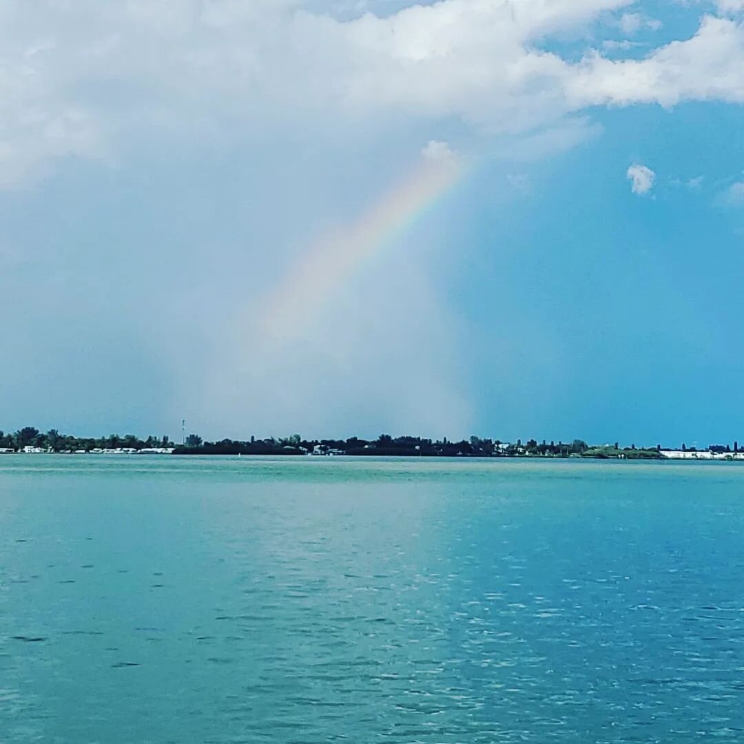 #paradiseboattours #seedolphins #annamariaisland #longboatkeyflorida #hexeloutdoors #sarasotabay #residentdolphins #sealovers #gulfofmexico