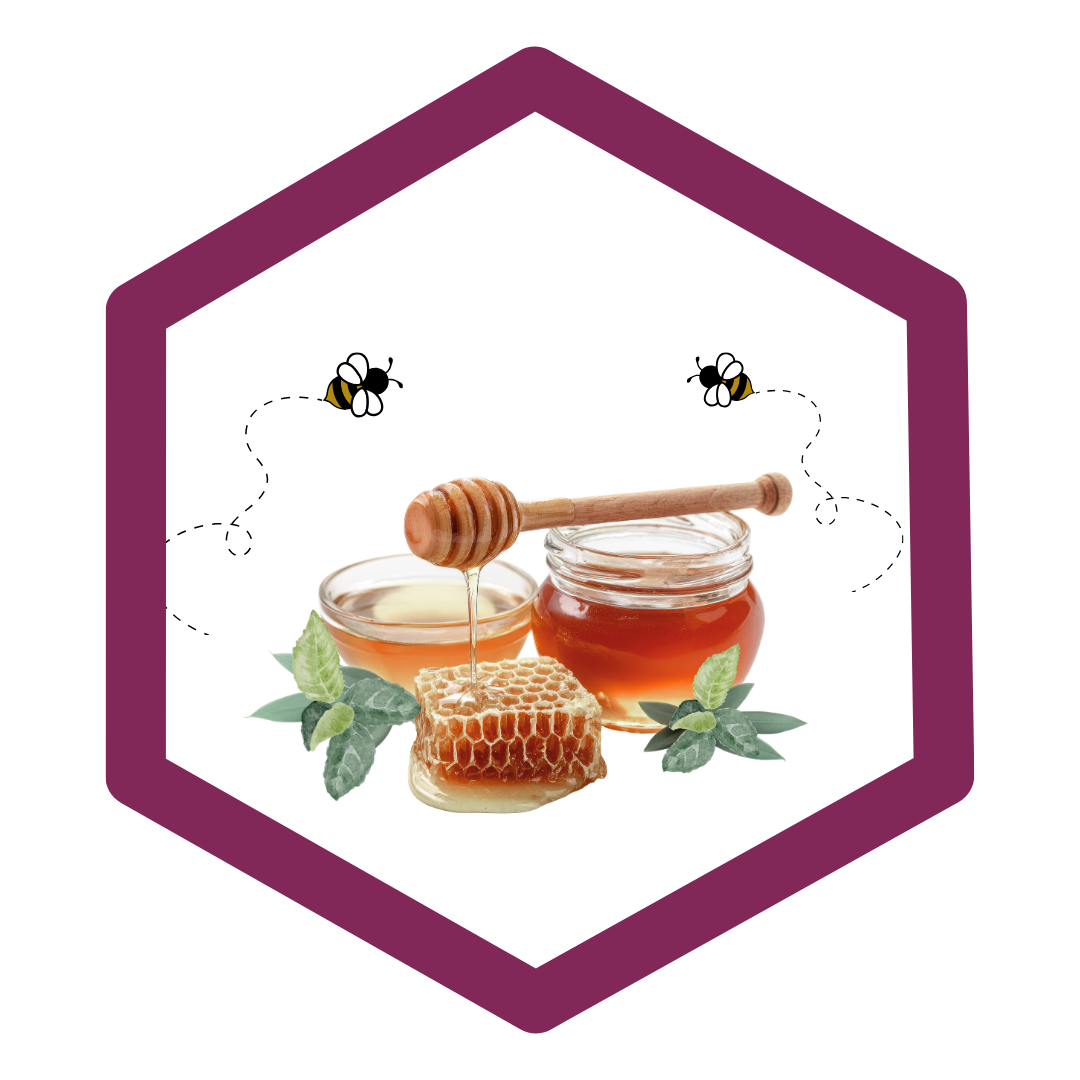 HoneyComb with Plastic Honeybear and honey jars Highlighting Paid Media, Meta Ads, and Google Ads Management Services At EmBeance Marketing & Design Based Out Of Columbus GA & Auburn Alabama