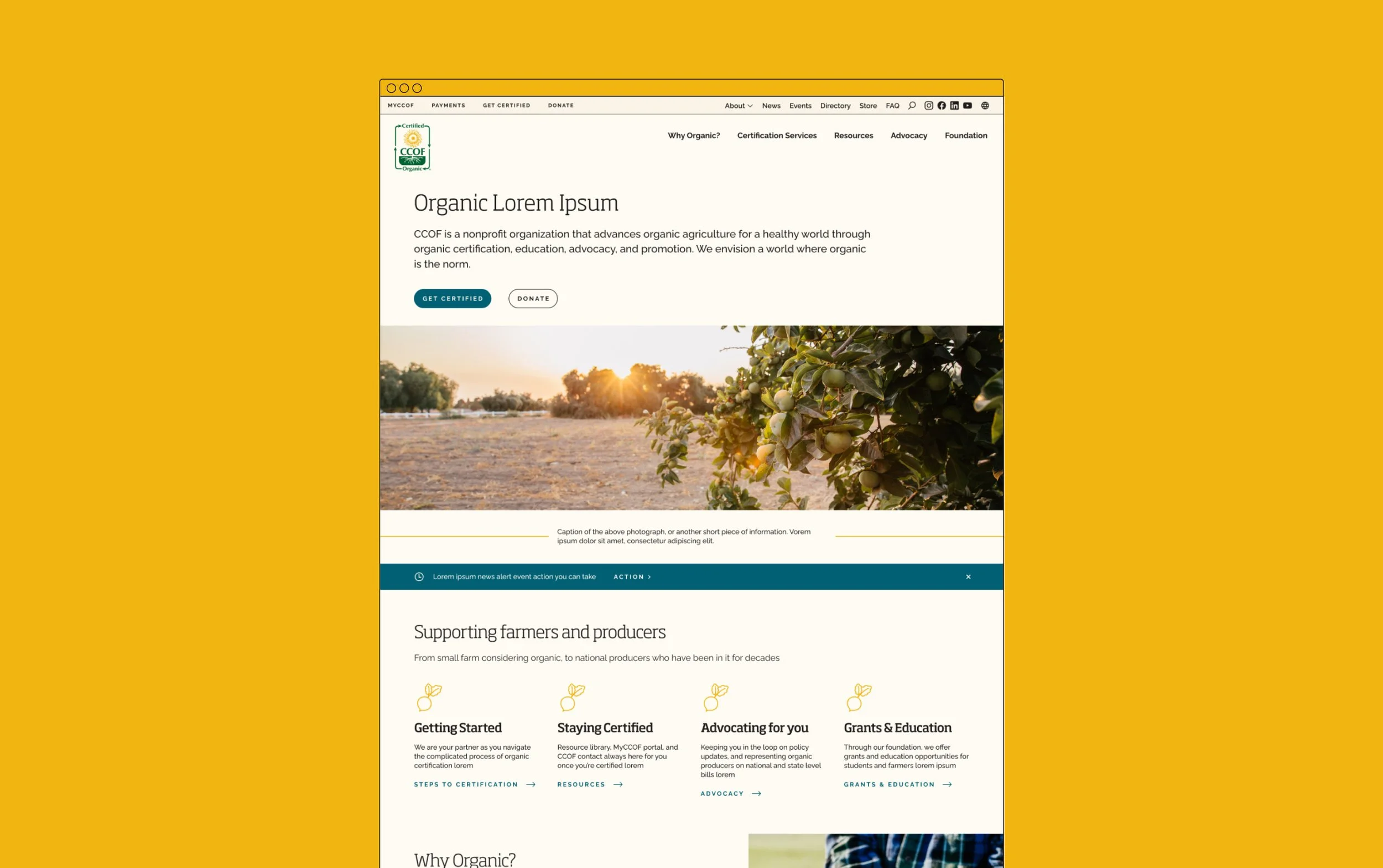 screenshot of ccof website