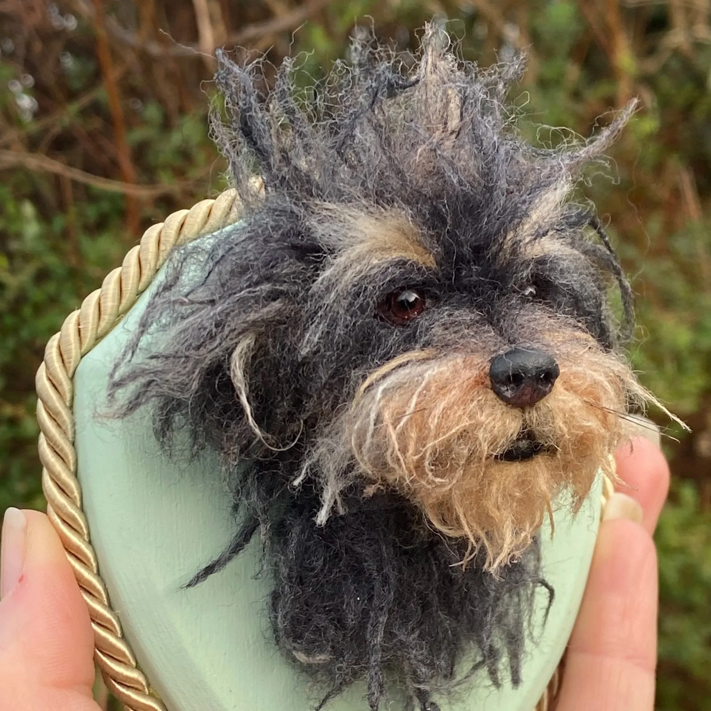 scruffy.jpg