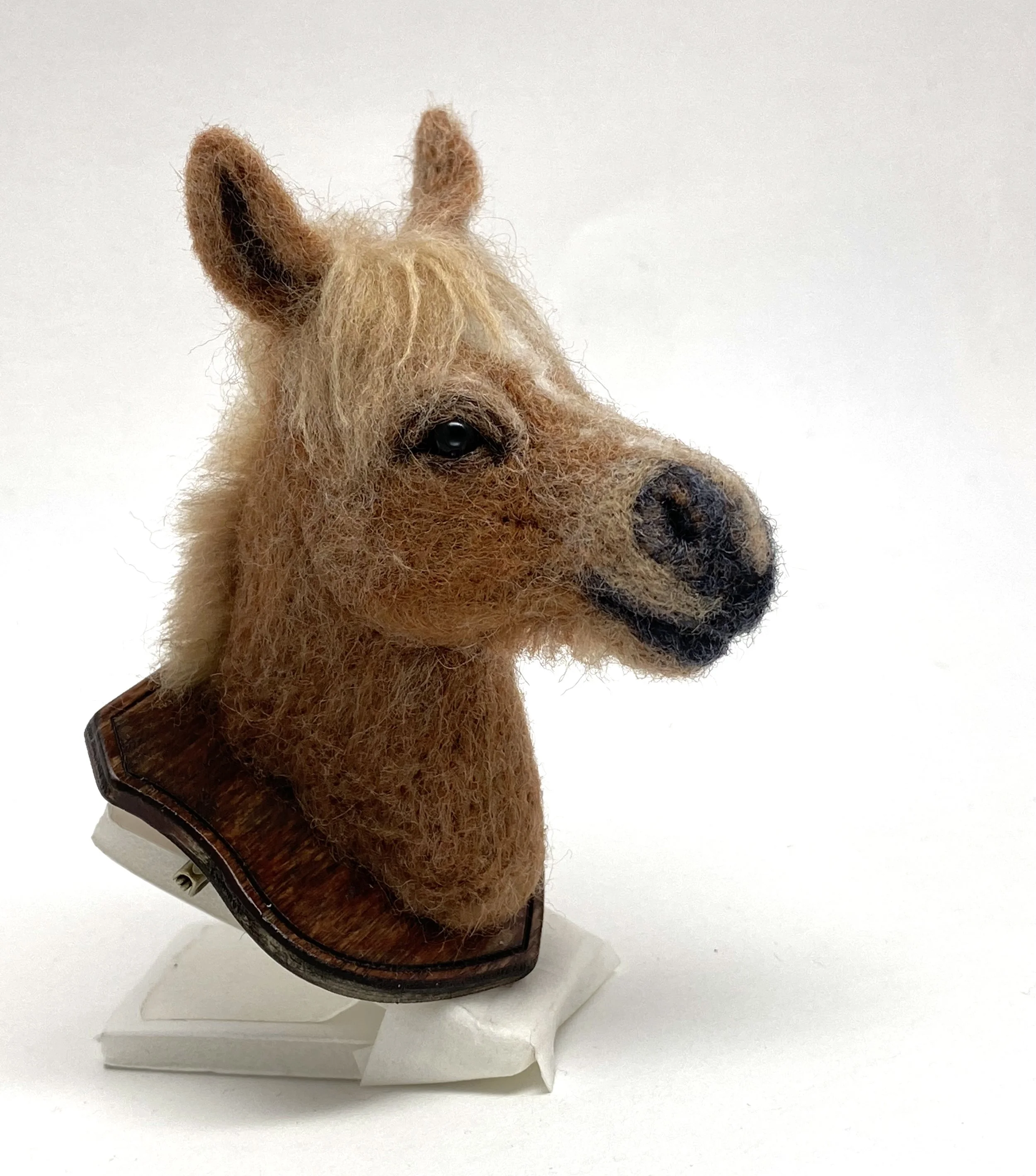 Horse.jpg