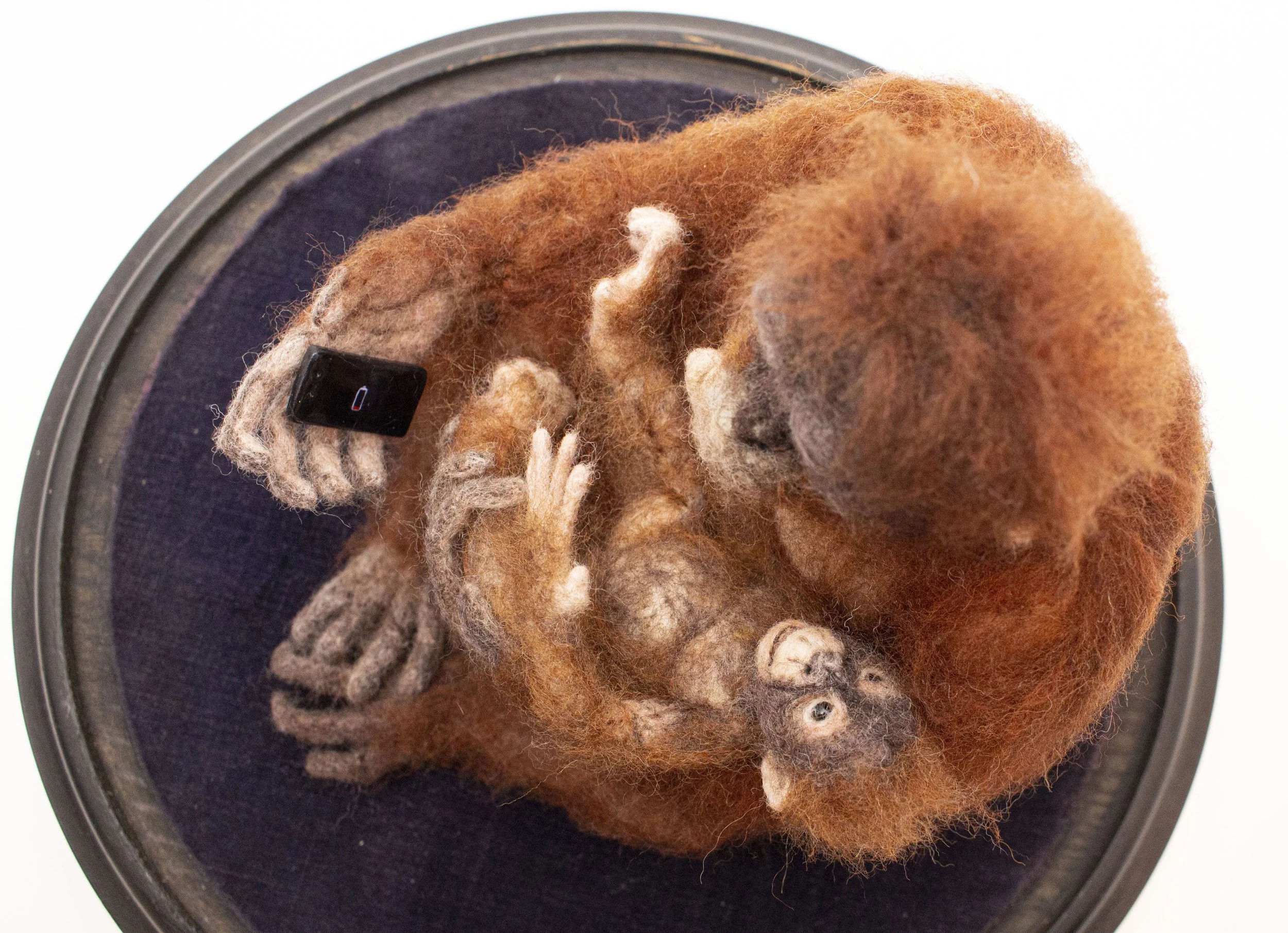 "Disconnected" Dome-Detail